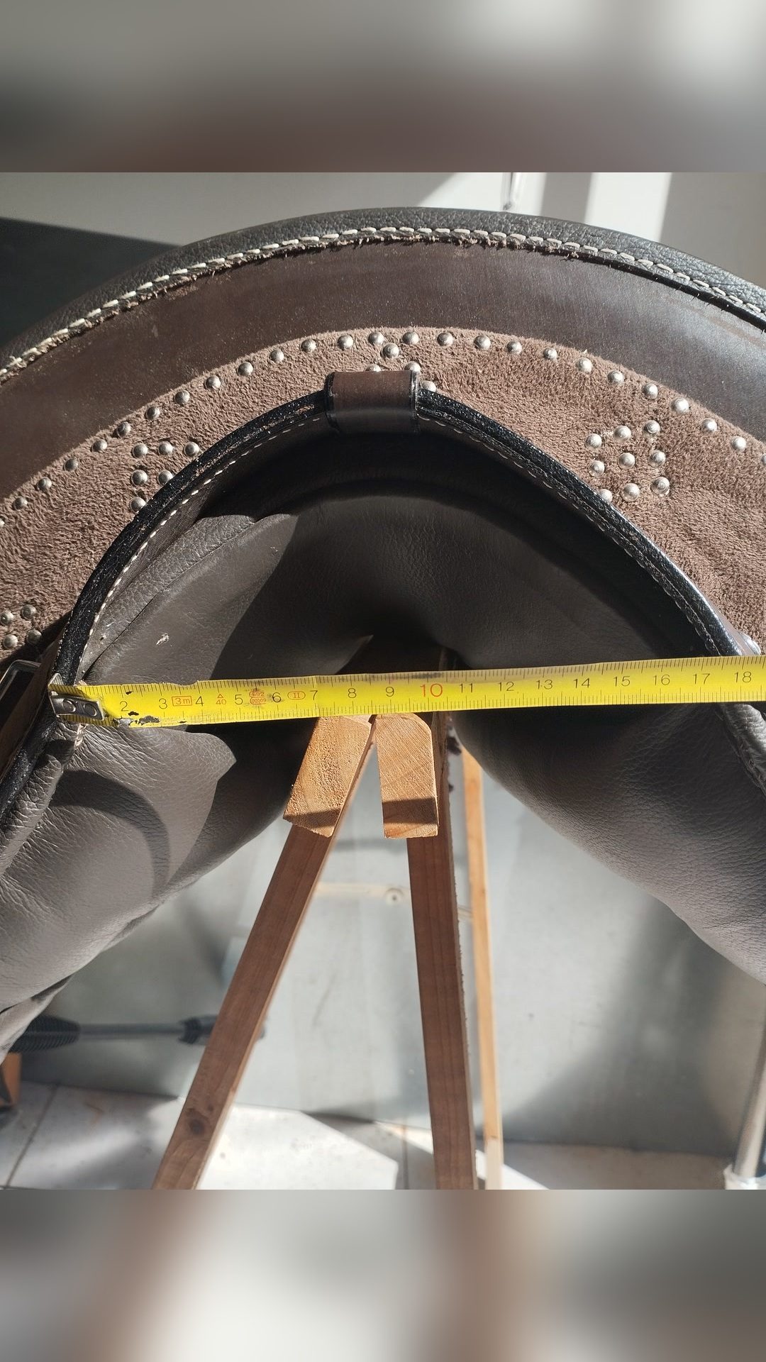 Selle portugaise, média 2