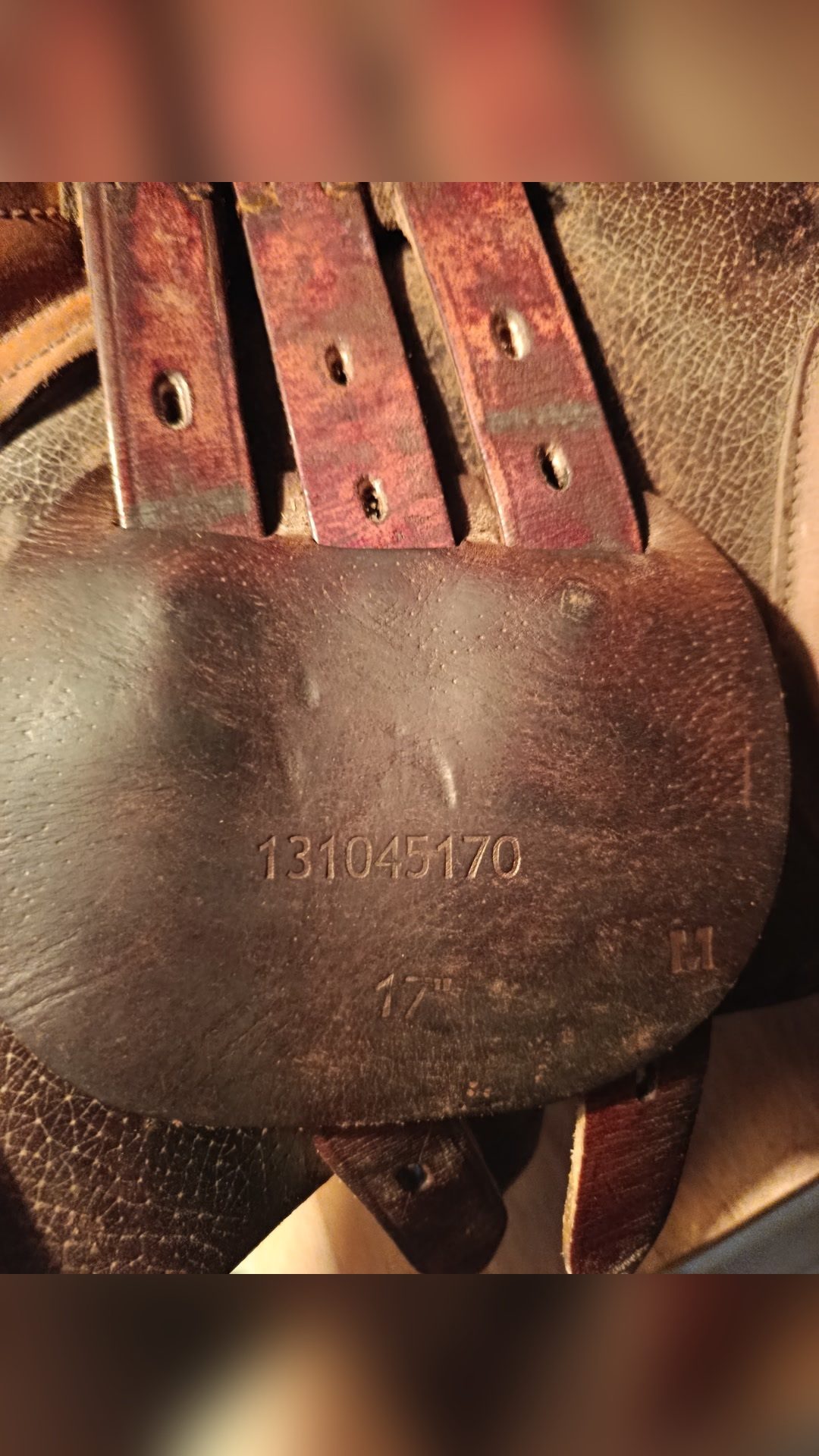 Selle CSO, média 3