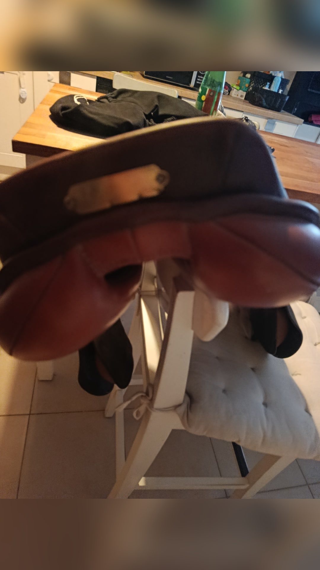 Selle CSO, média 5