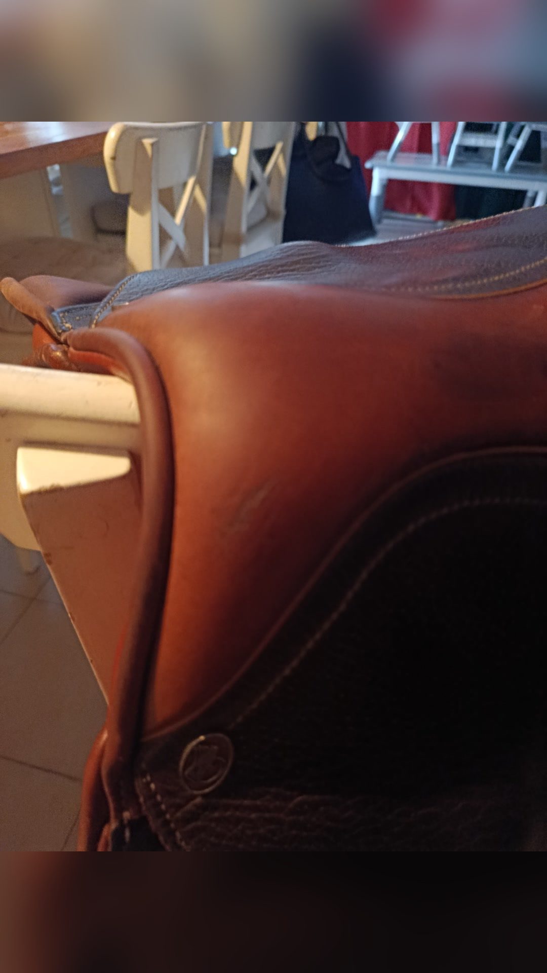 Selle CSO, média 6