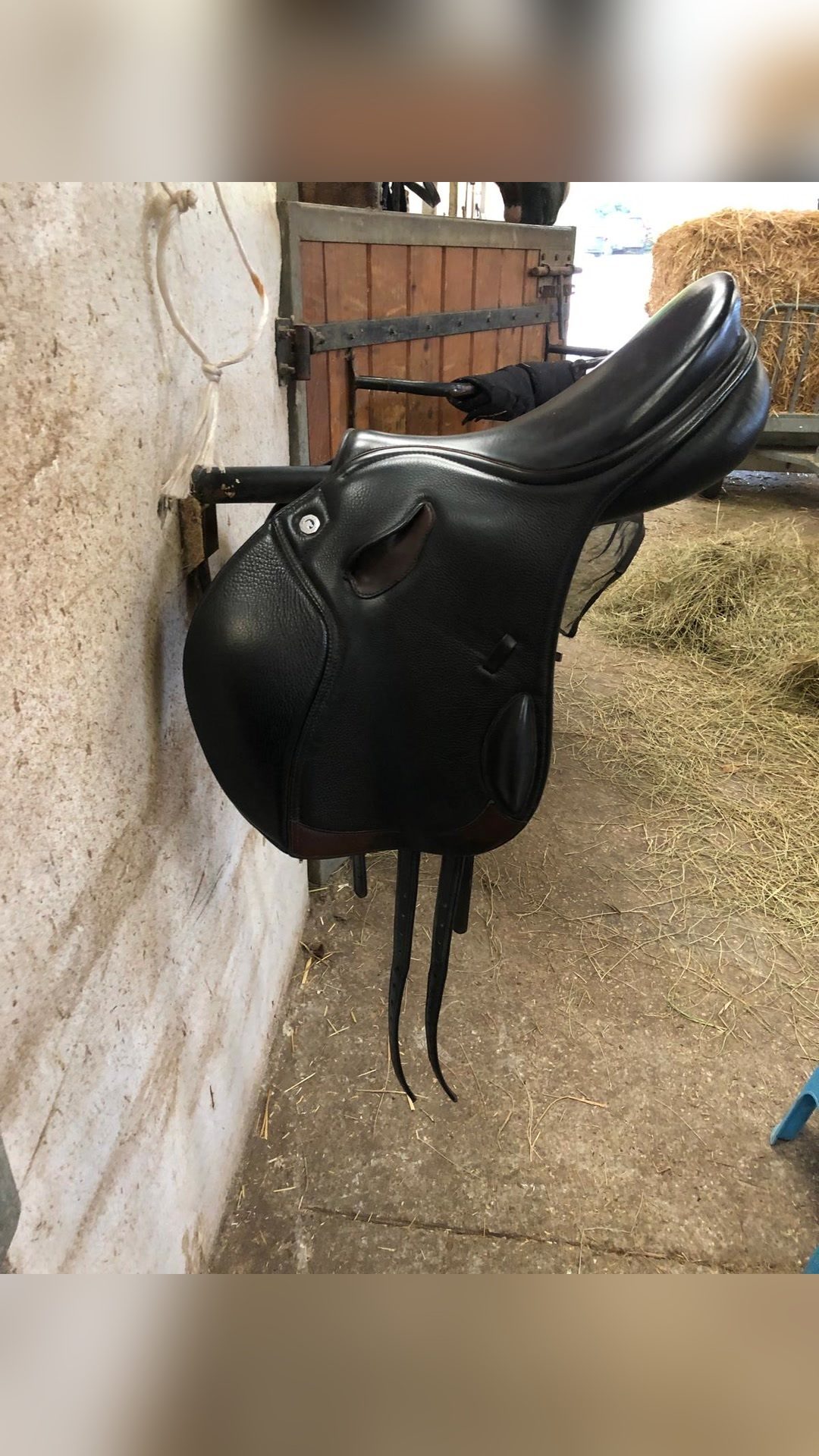 Selle 18’ Butterfly mixte, média 2