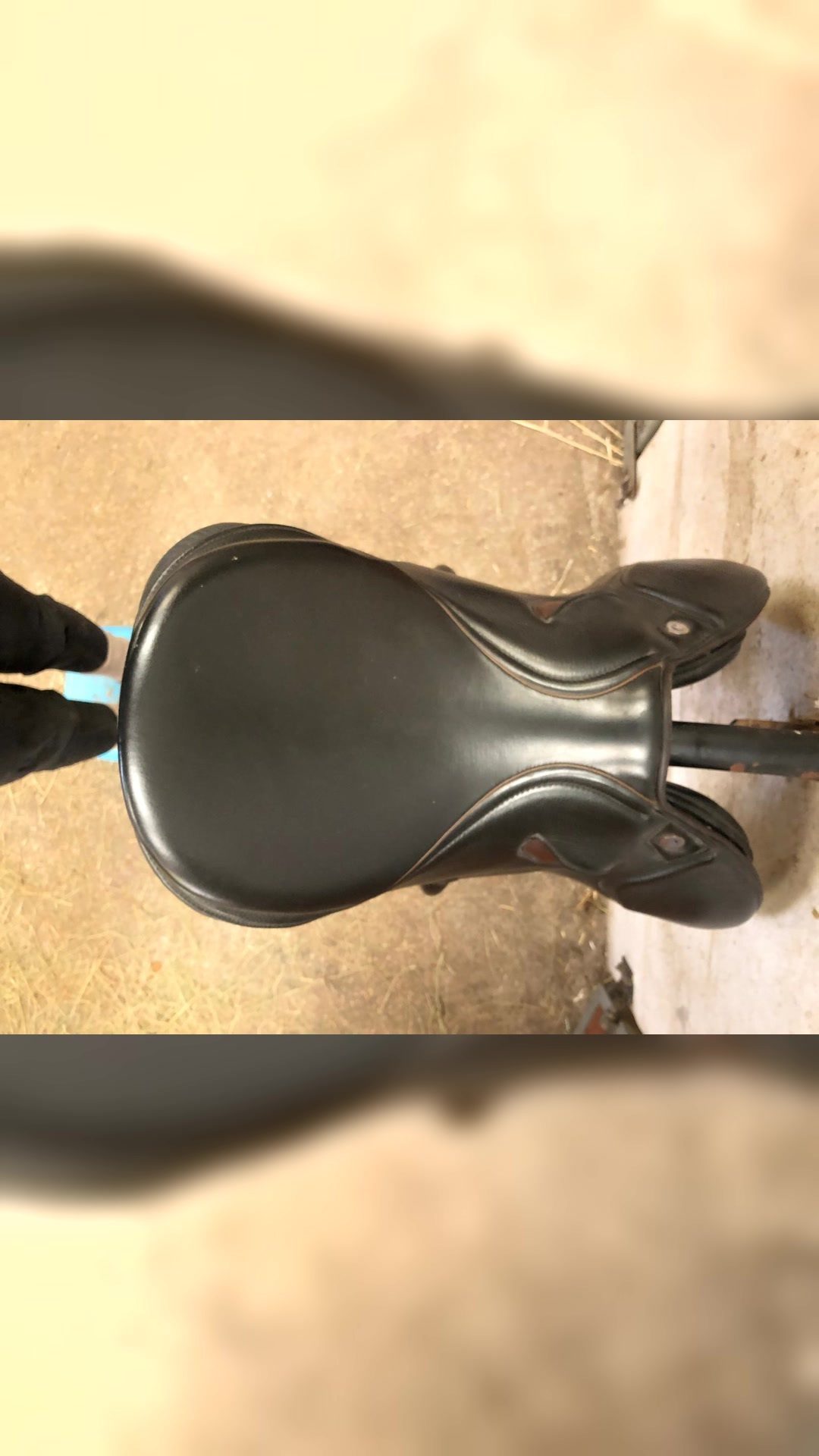 Selle 18’ Butterfly mixte, média 3