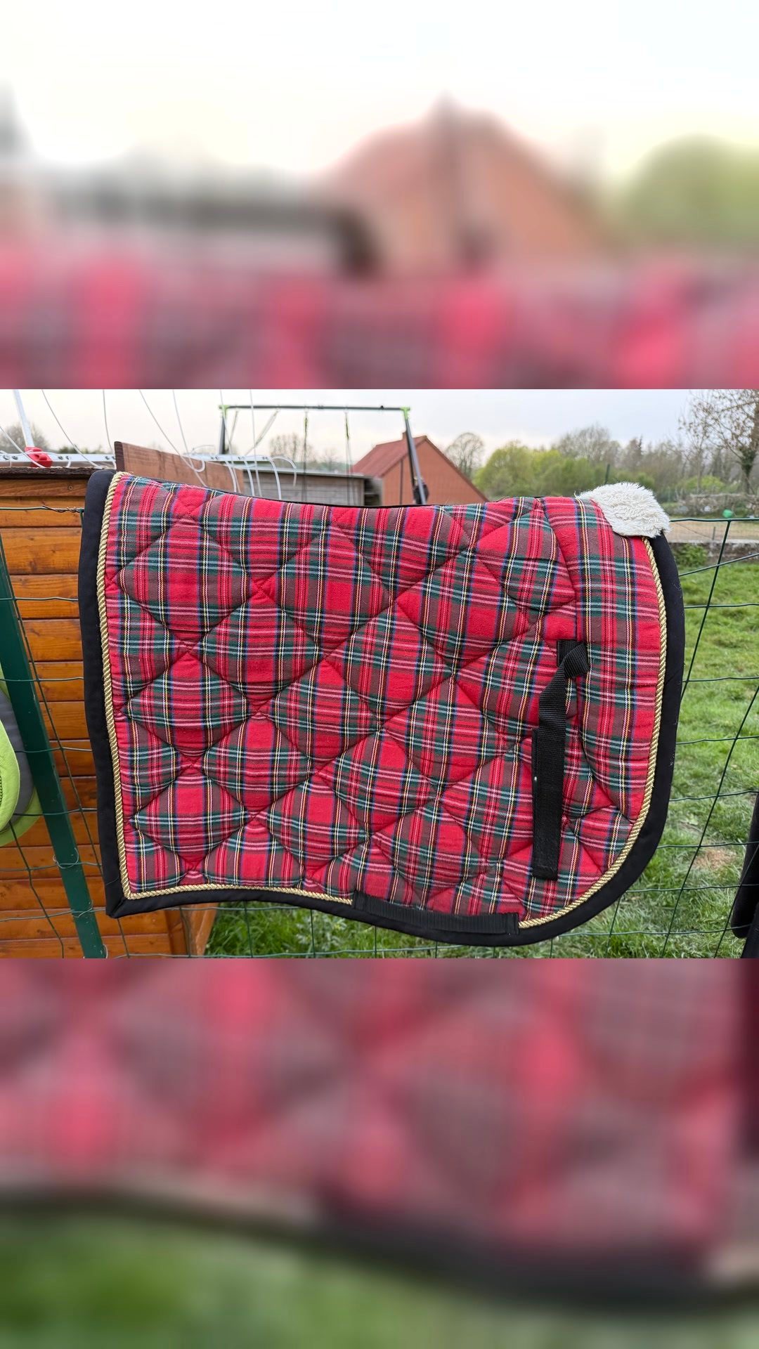 Tapis écossais rouge, média 2