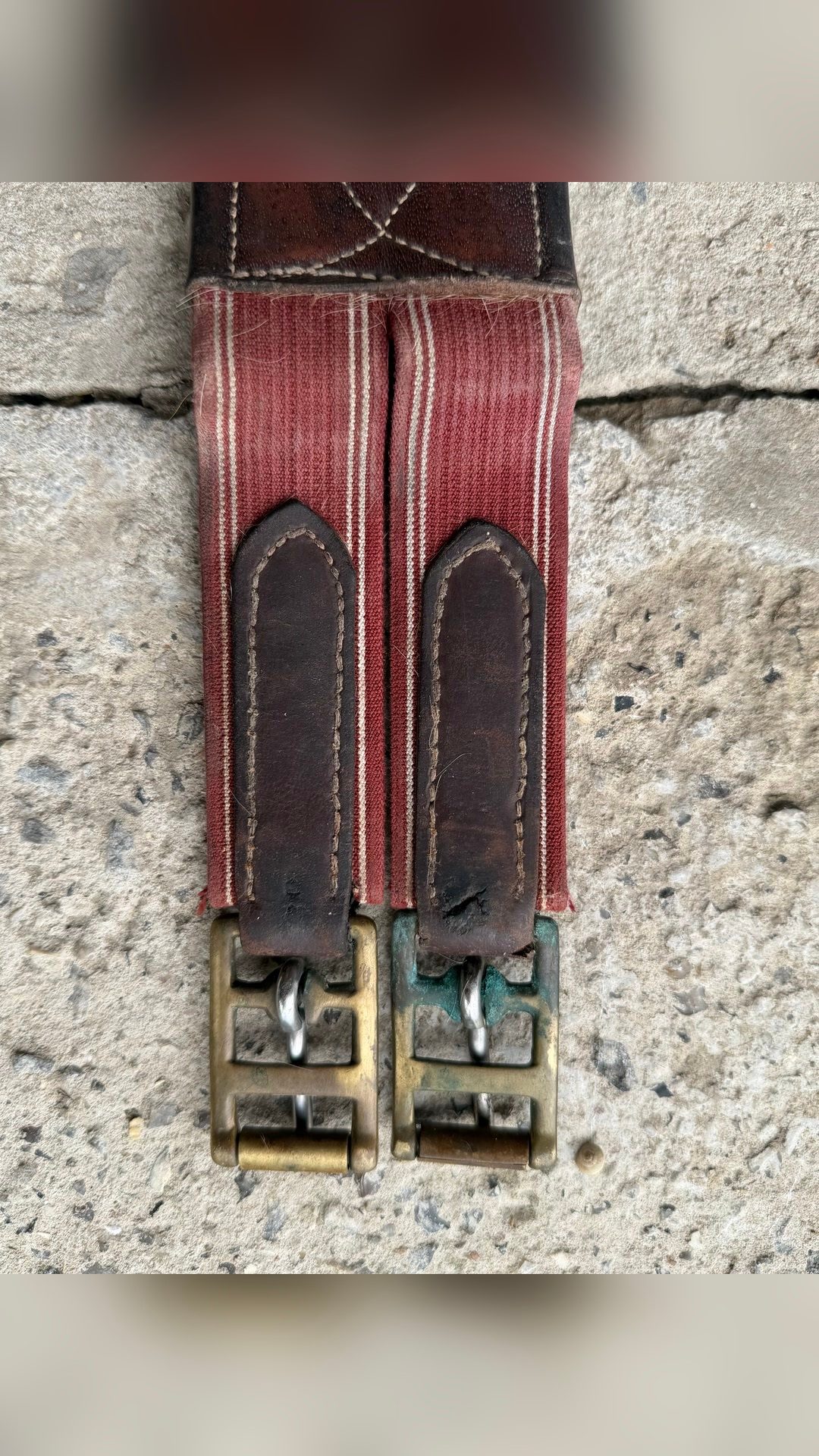 Sangle  bavette  115 cm, média 6