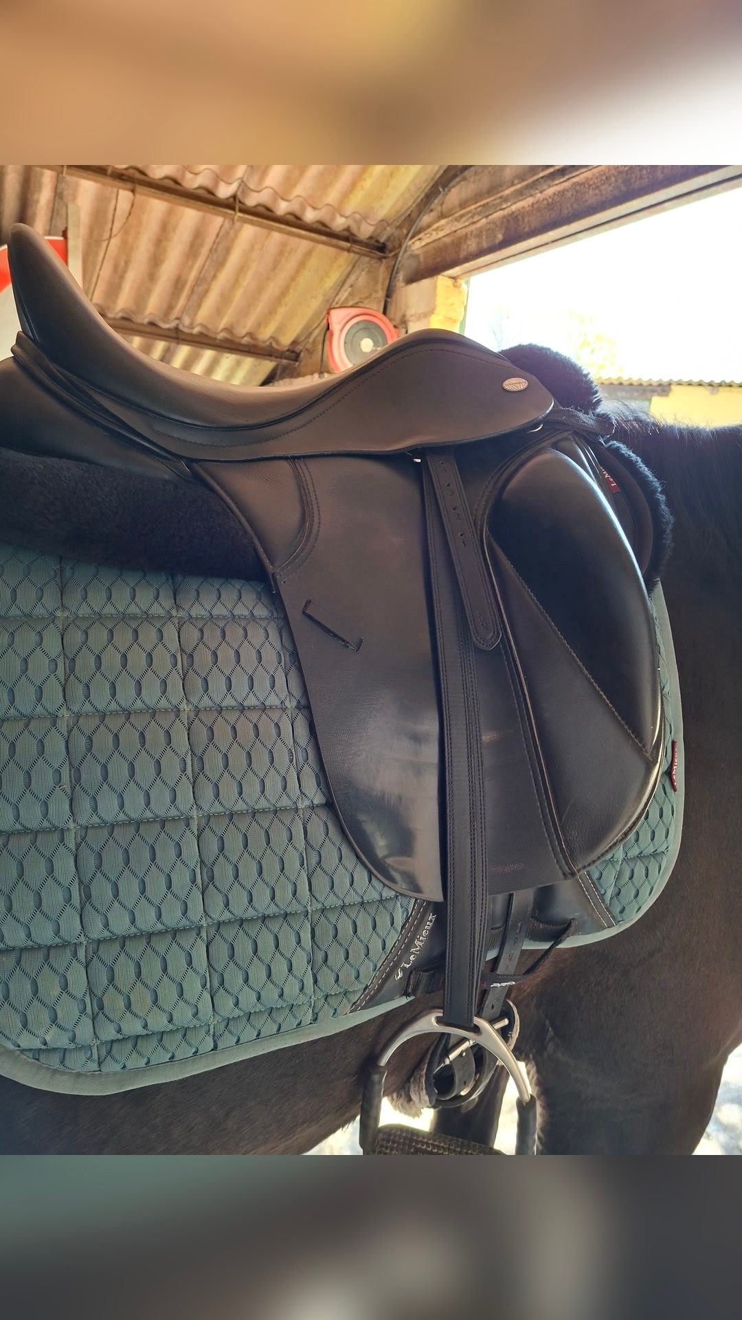 Selle dressage, média 3
