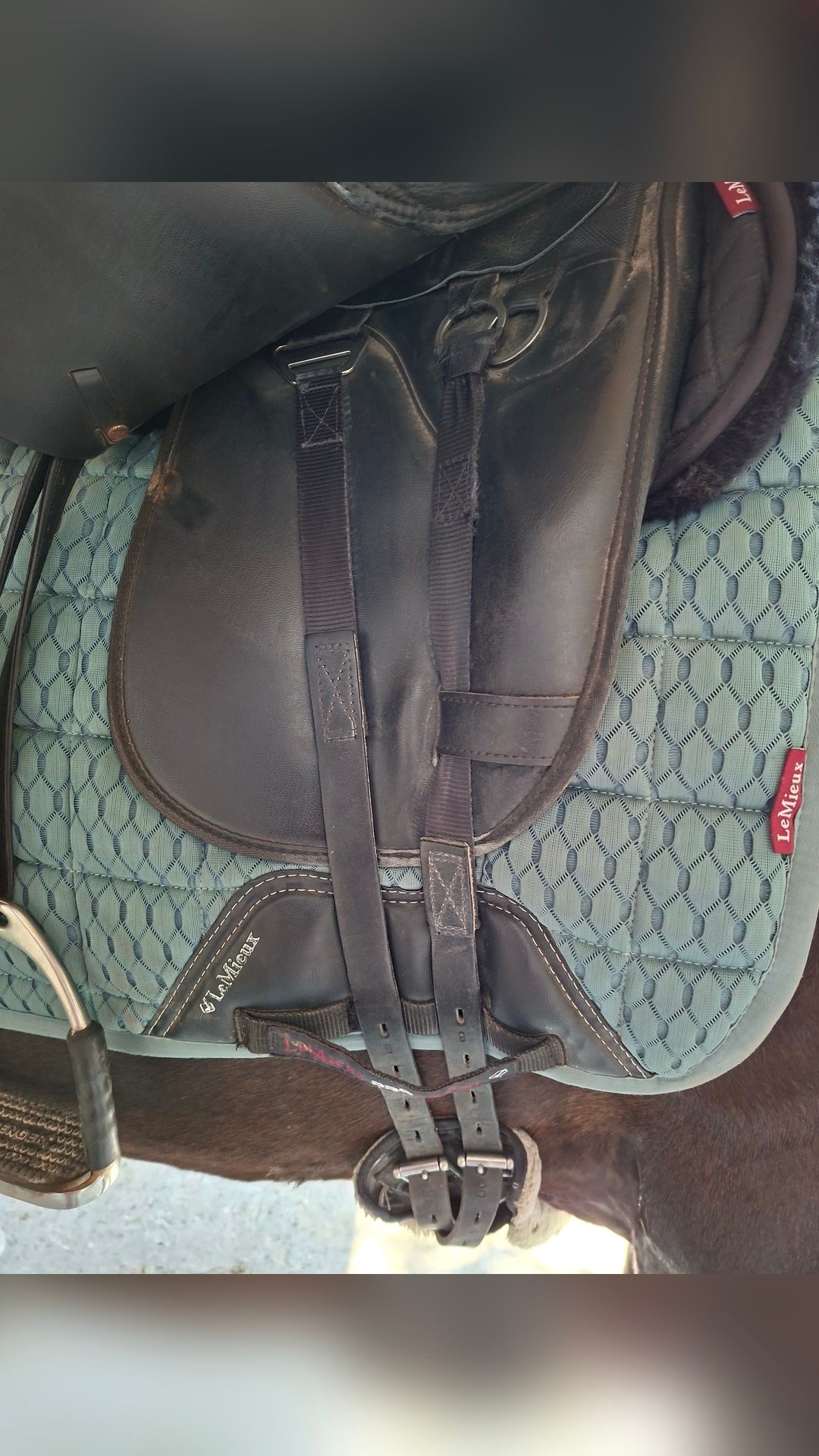 Selle dressage, média 4