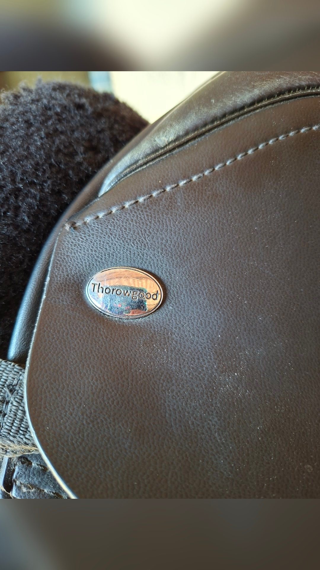 Selle dressage, média 2