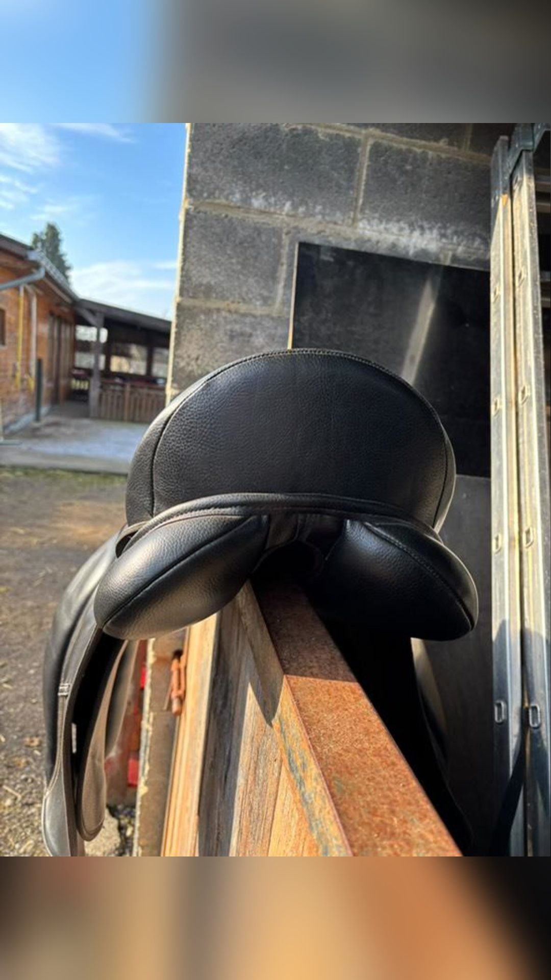 Selle de dressage, média 8