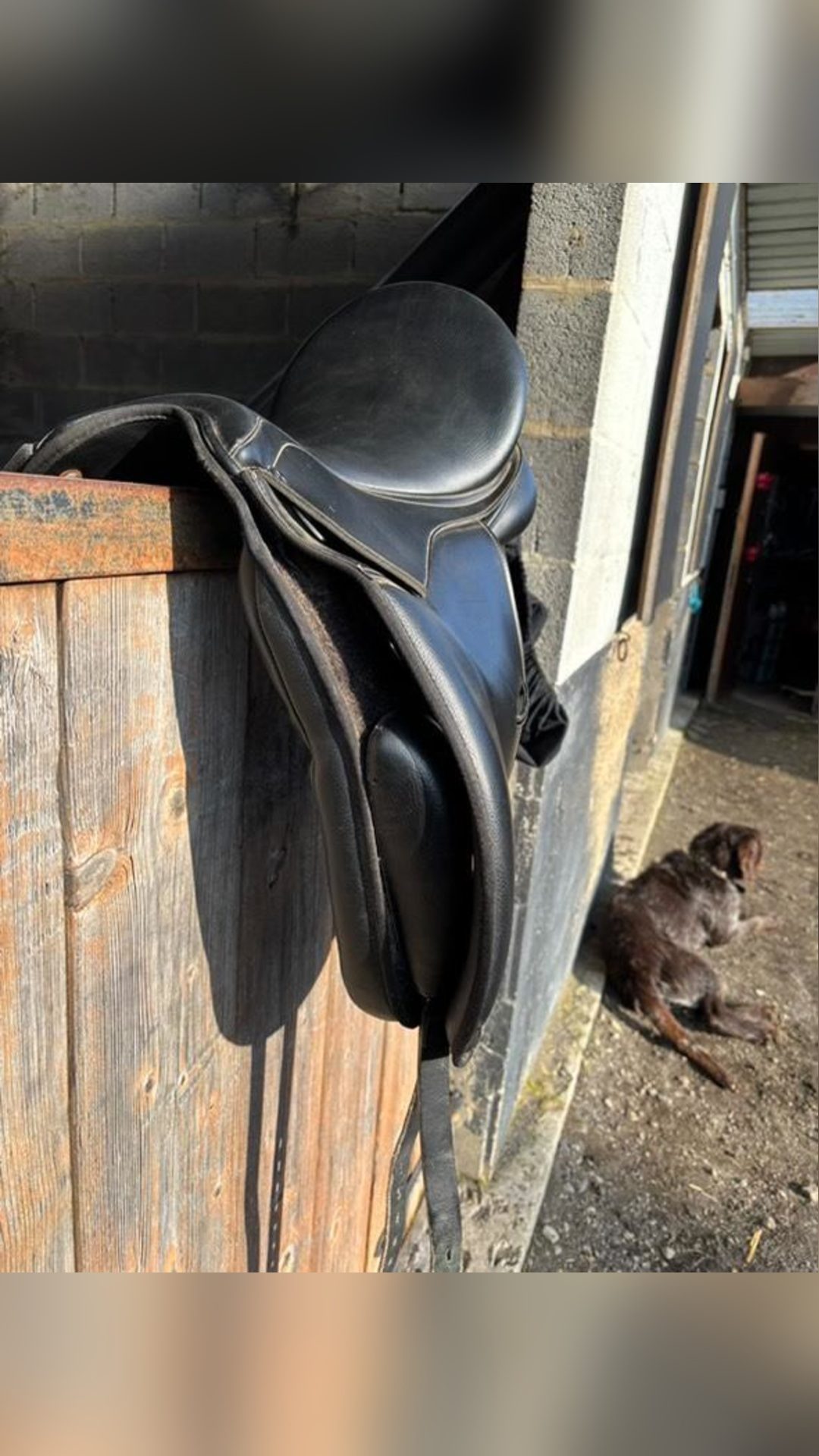 Selle de dressage, média 3