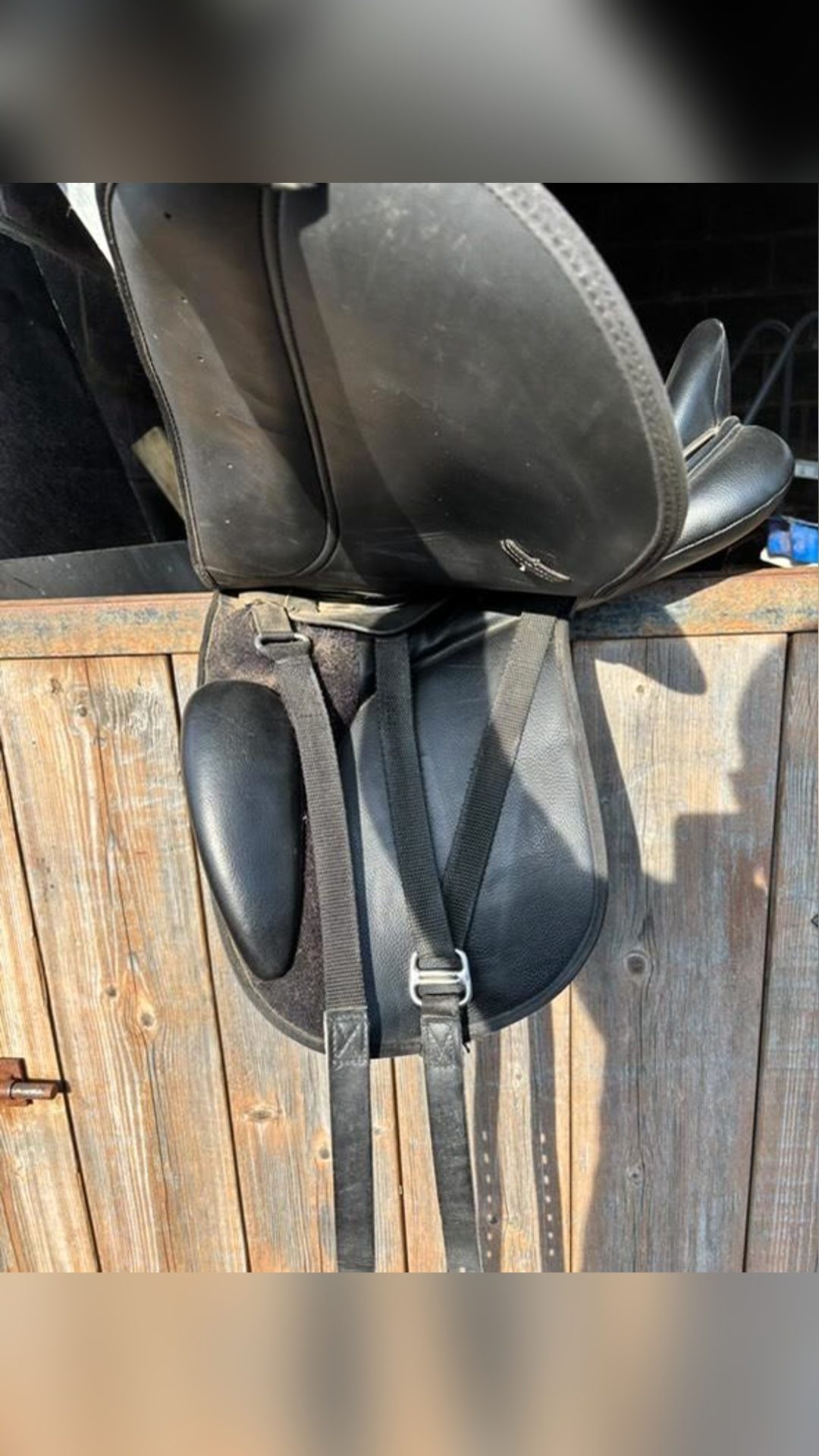 Selle de dressage, média 7