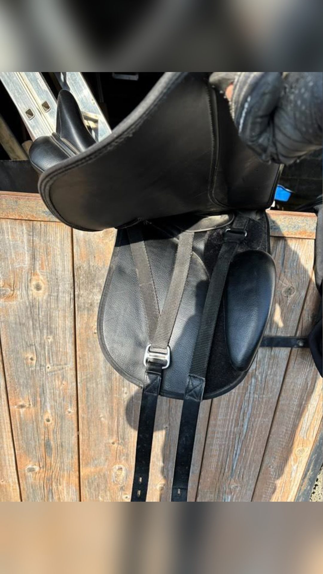 Selle de dressage, média 6