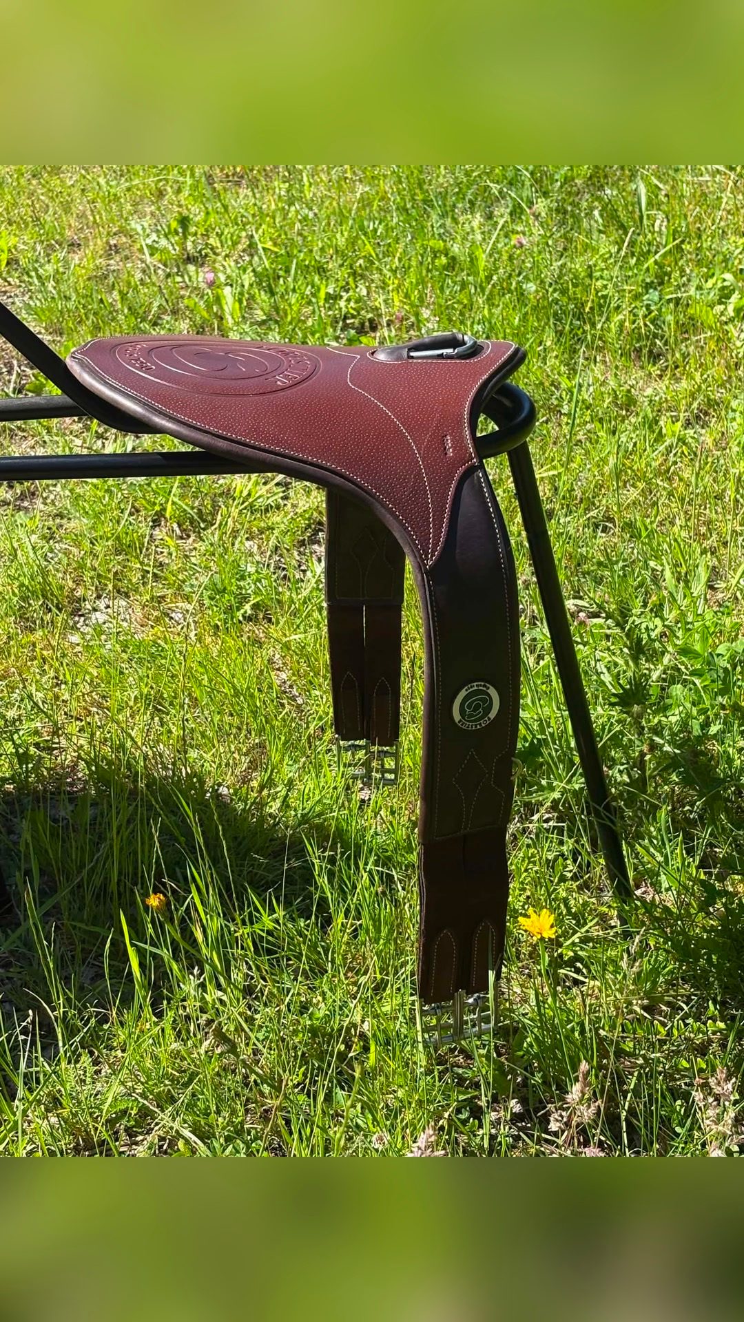 Bavette Forestier (taille 135cm), média 2
