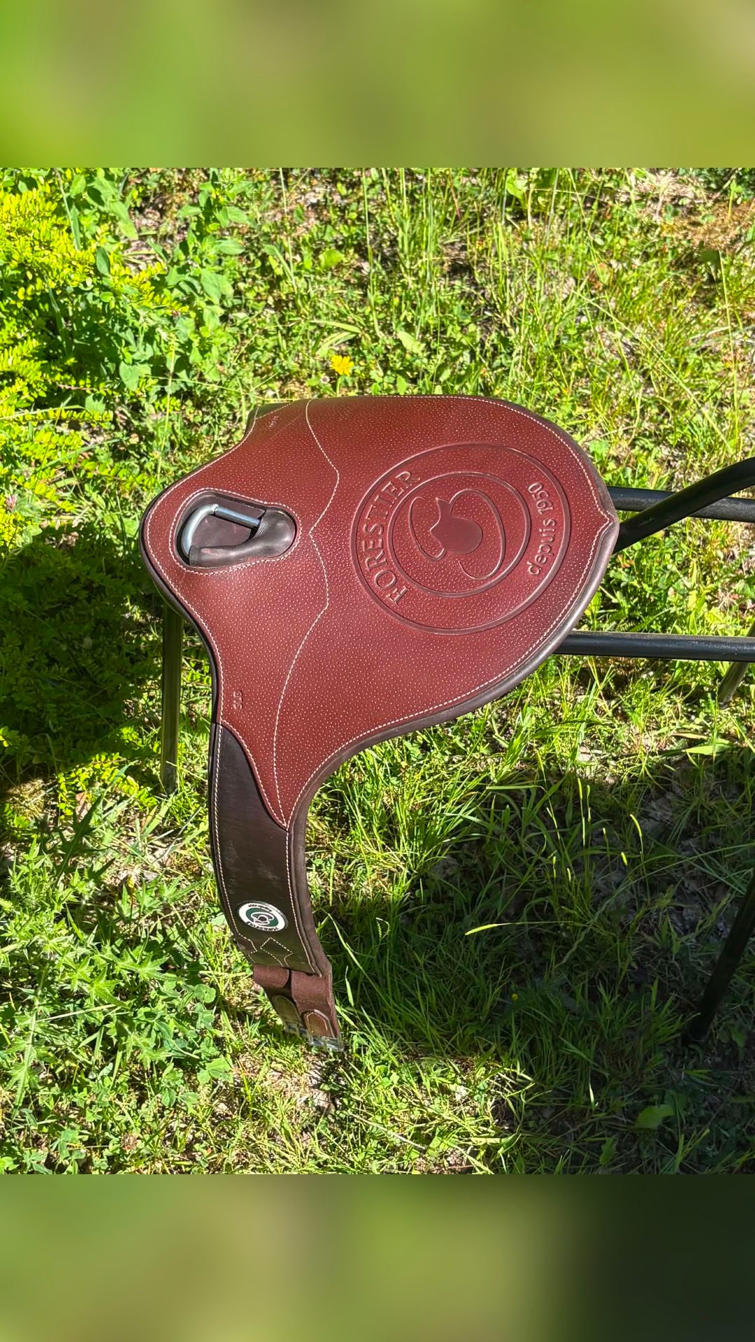 Bavette Forestier (taille 135cm), média 3