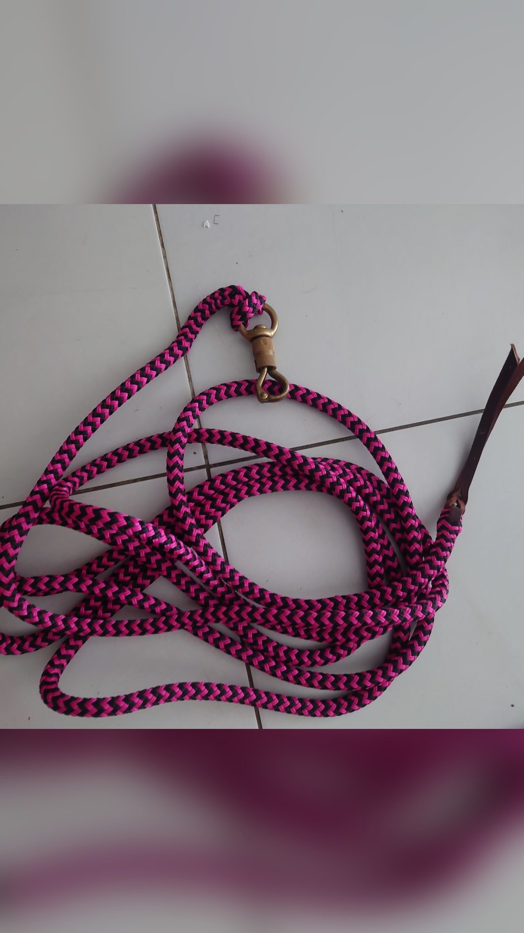 Licol et longe éthologique, média 3