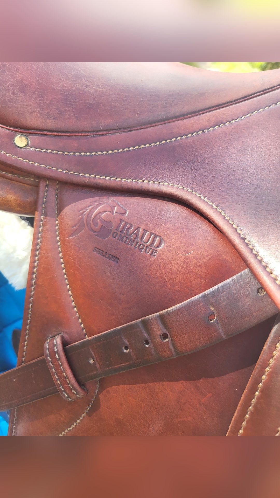 Selle de Dressage, média 2