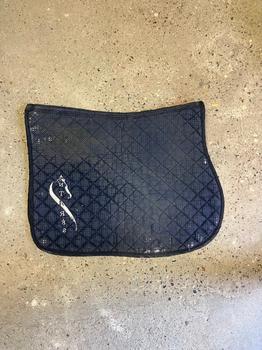 Tapis de selle antares, média 3