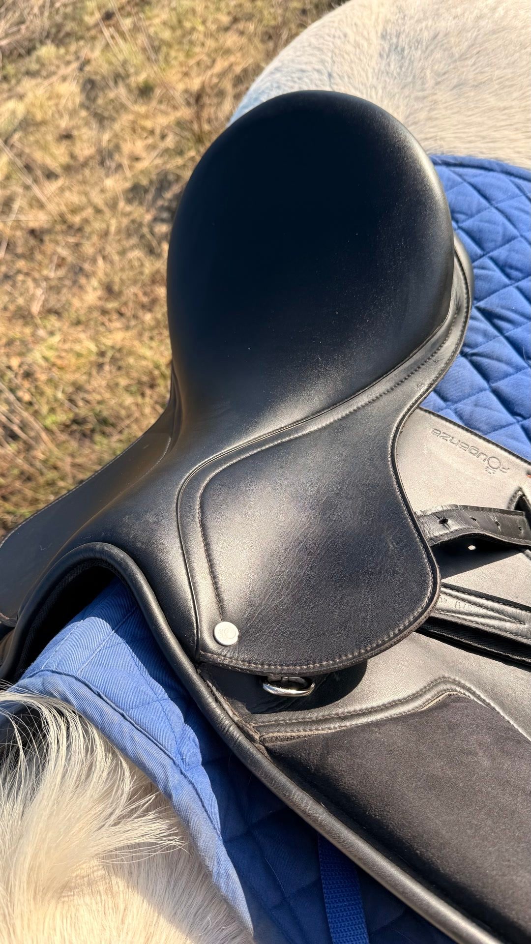 Selle mixte, média 3
