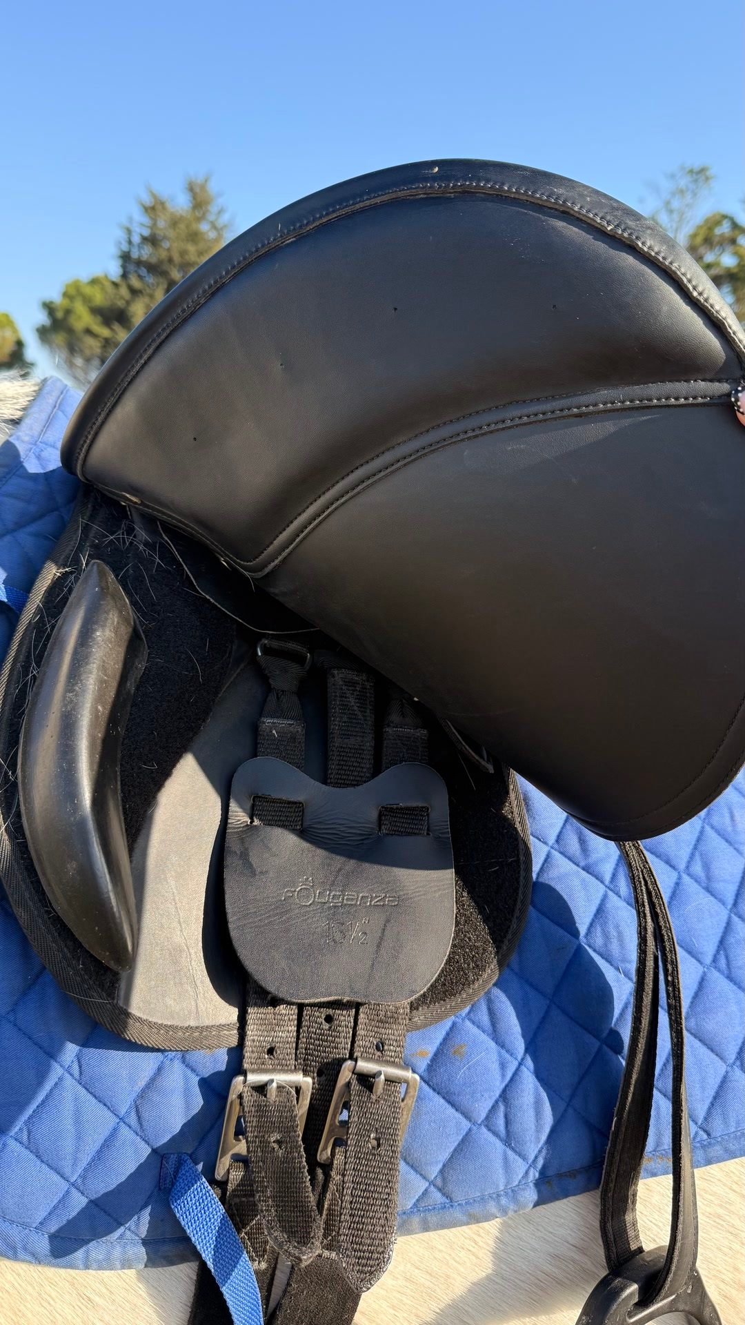 Selle mixte, média 4