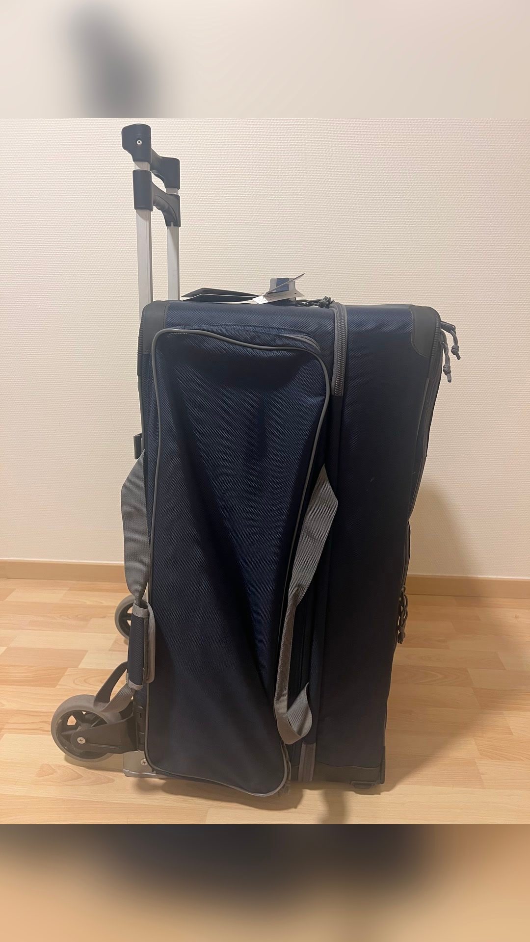 Malle de concours Horse And Travel, média 8