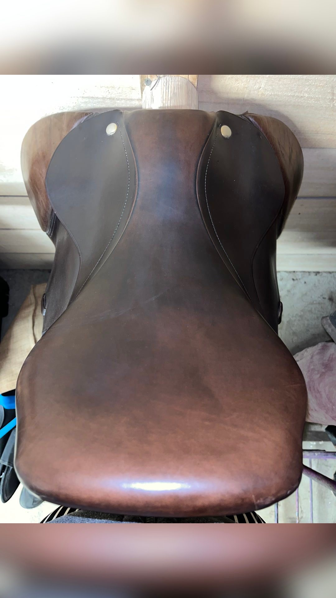 Selle Fouilloux, média 2