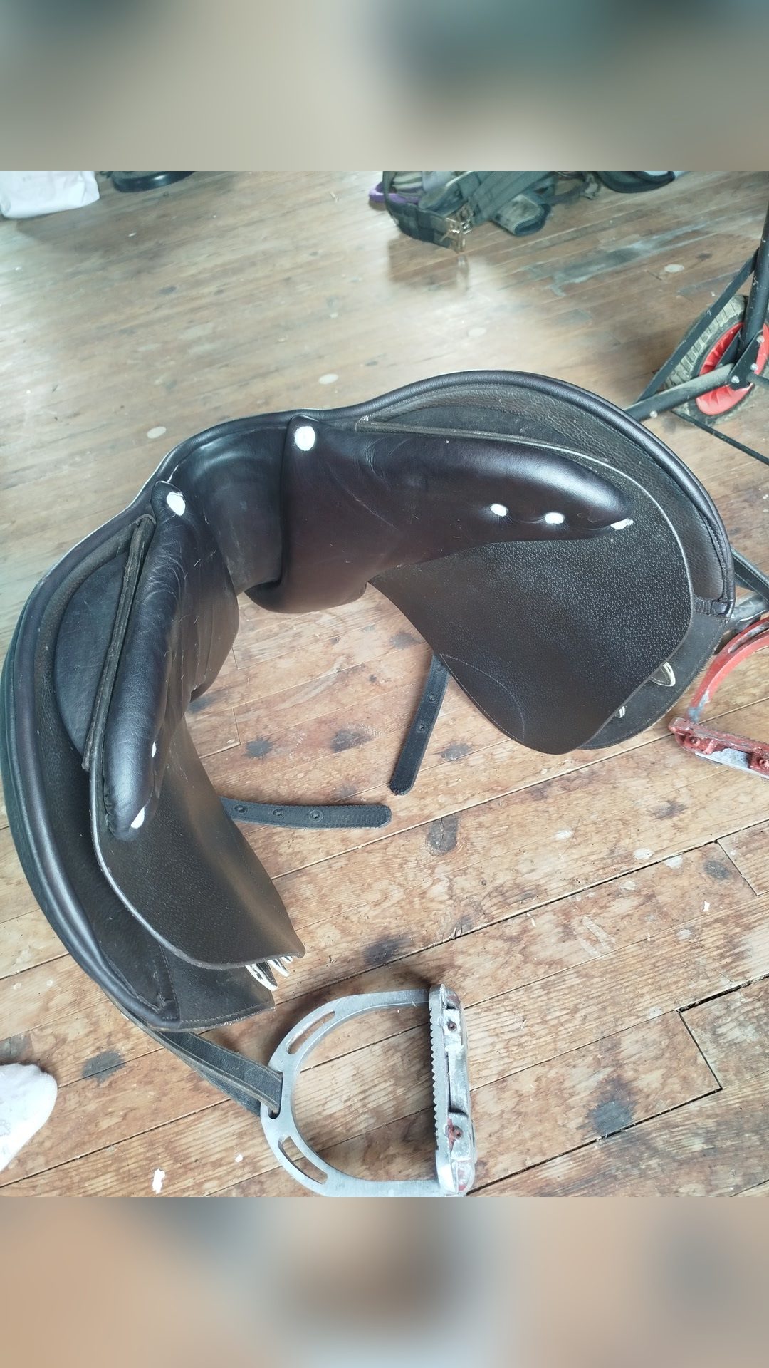 Selle Privilège Equitation, média 4