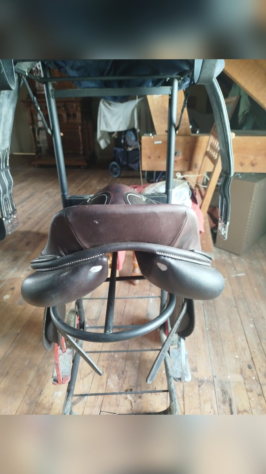 Selle Privilège Equitation, média 2