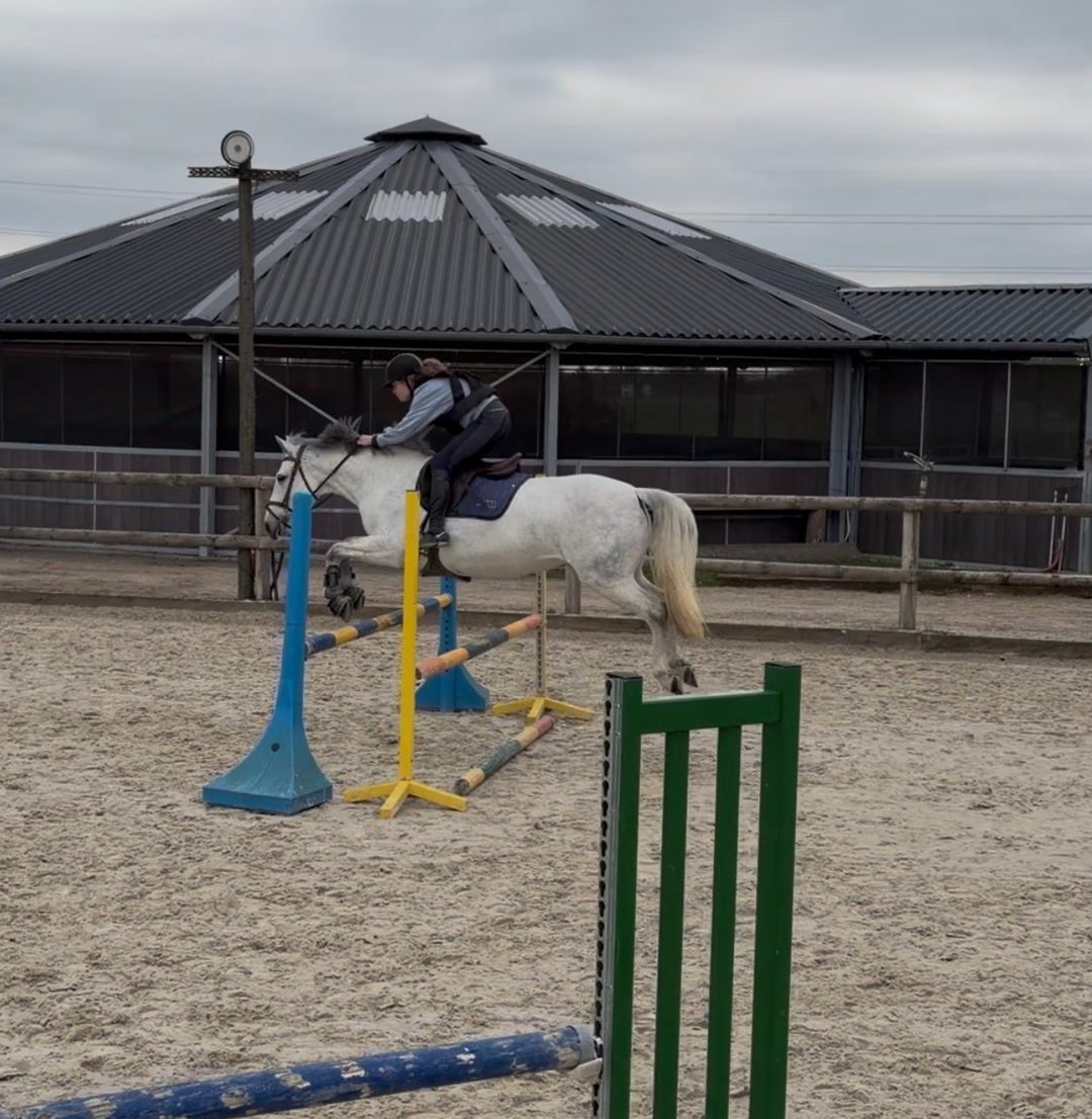 Travail du cheval, média 2