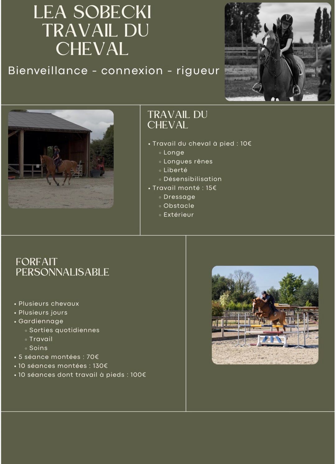 Travail du cheval, média 3