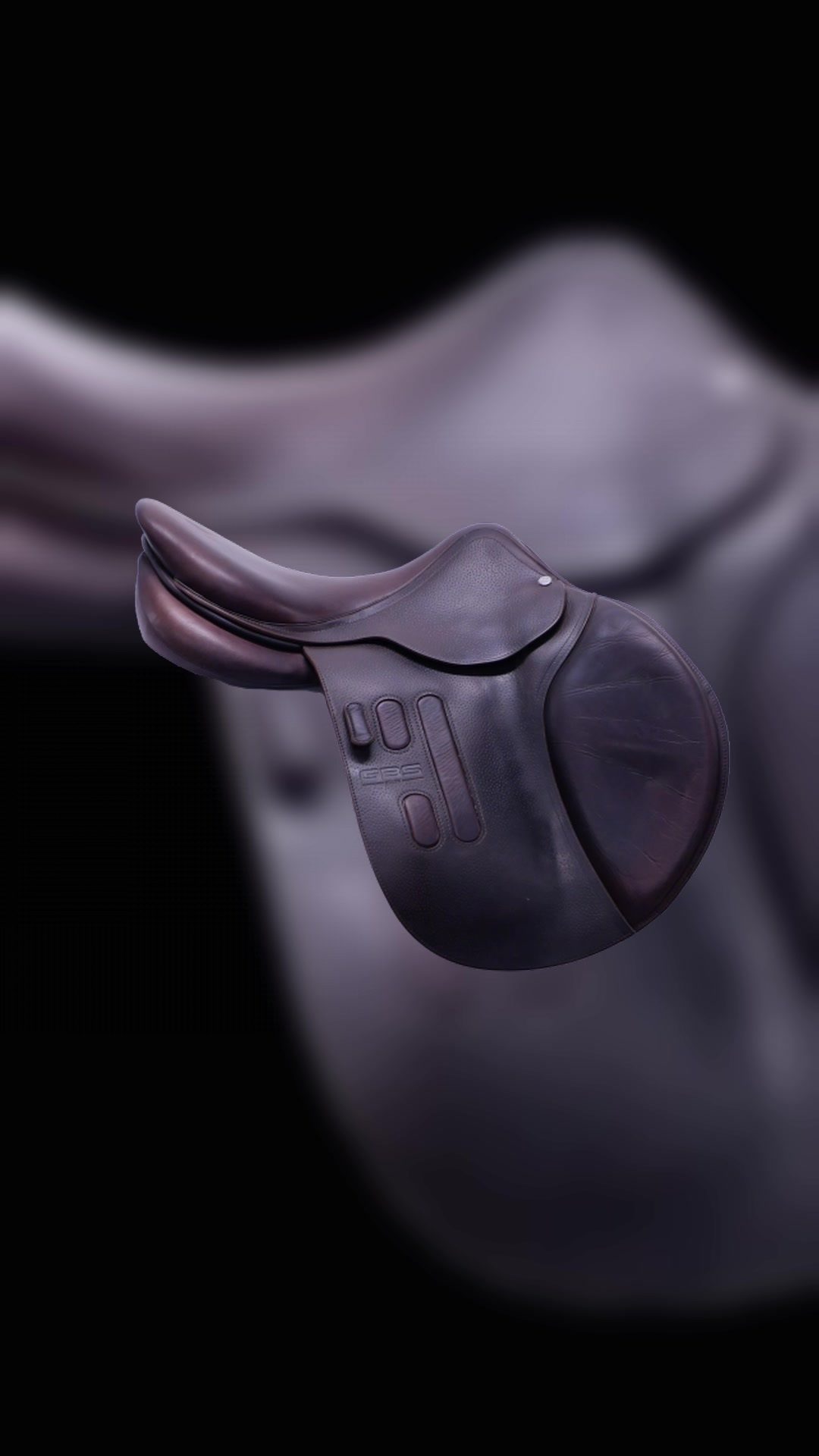 Selle GBS FS P6.5 2024 17 pouces QAV2, média 2
