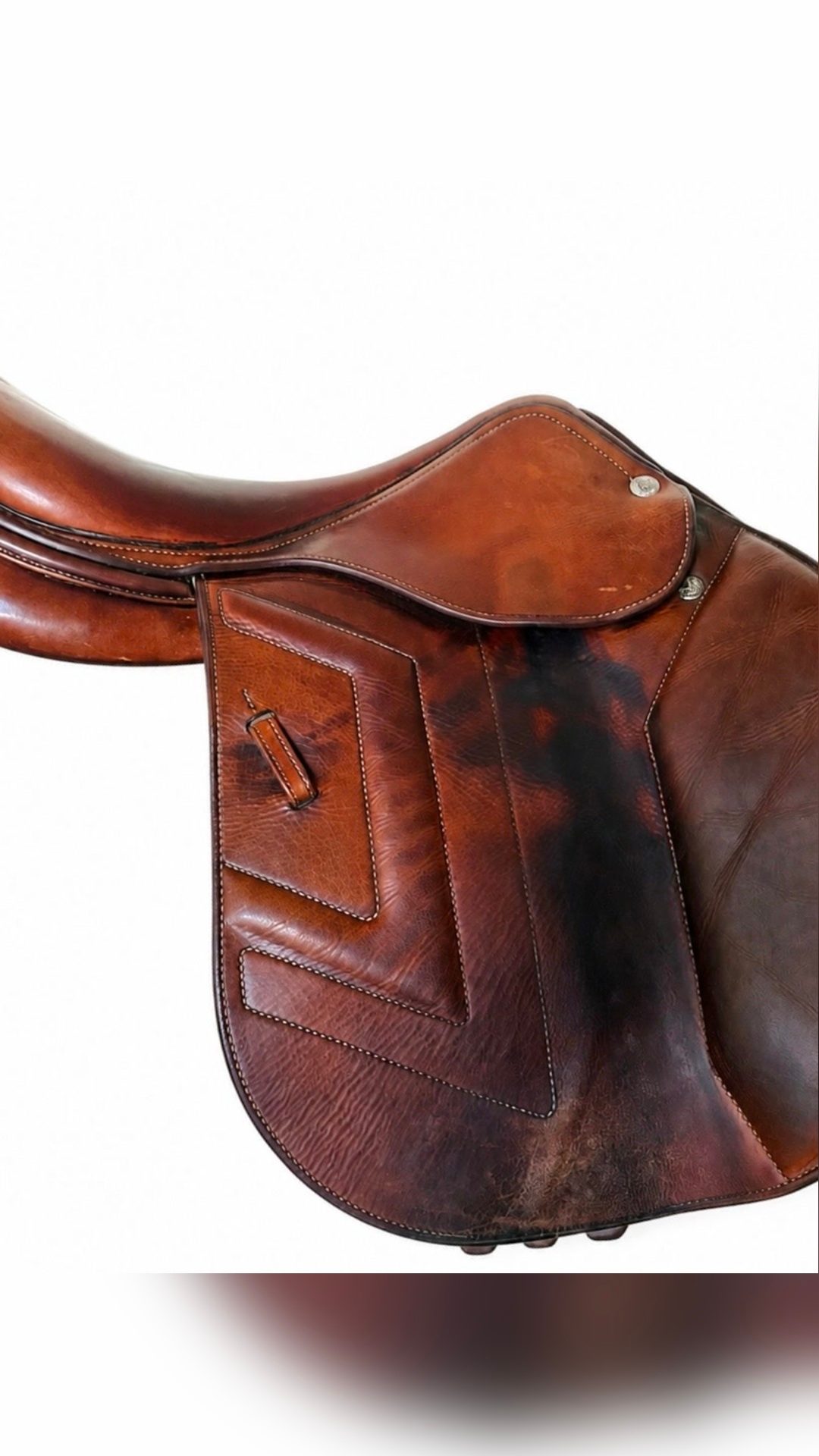 Selle Prestige Renaissance 2020 17 pouces, média 2