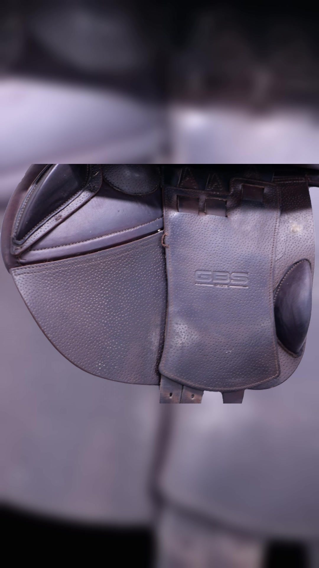 Selle GBS FS P6.5 2024 17 pouces QAV2, média 5