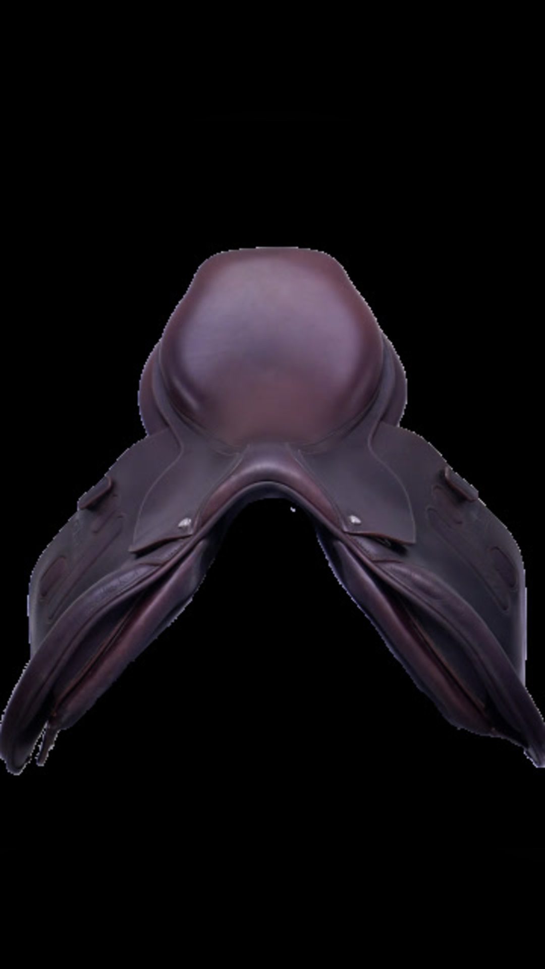 Selle GBS FS P6.5 2024 17 pouces QAV2, média 3