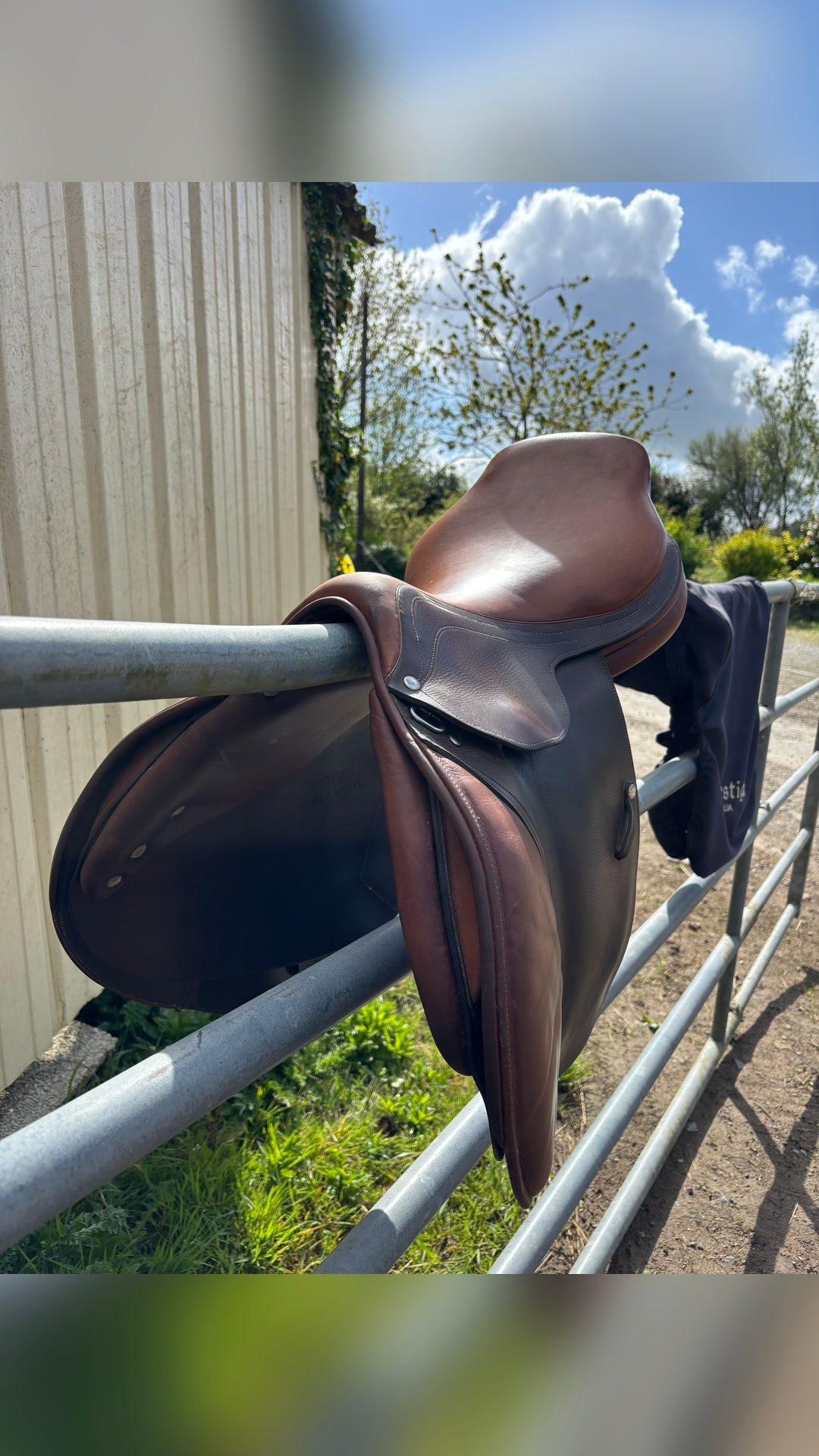 Selle Laurent Bierry, média 2