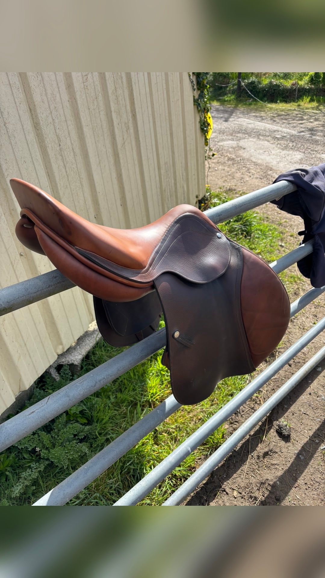 Selle Laurent Bierry, média 5
