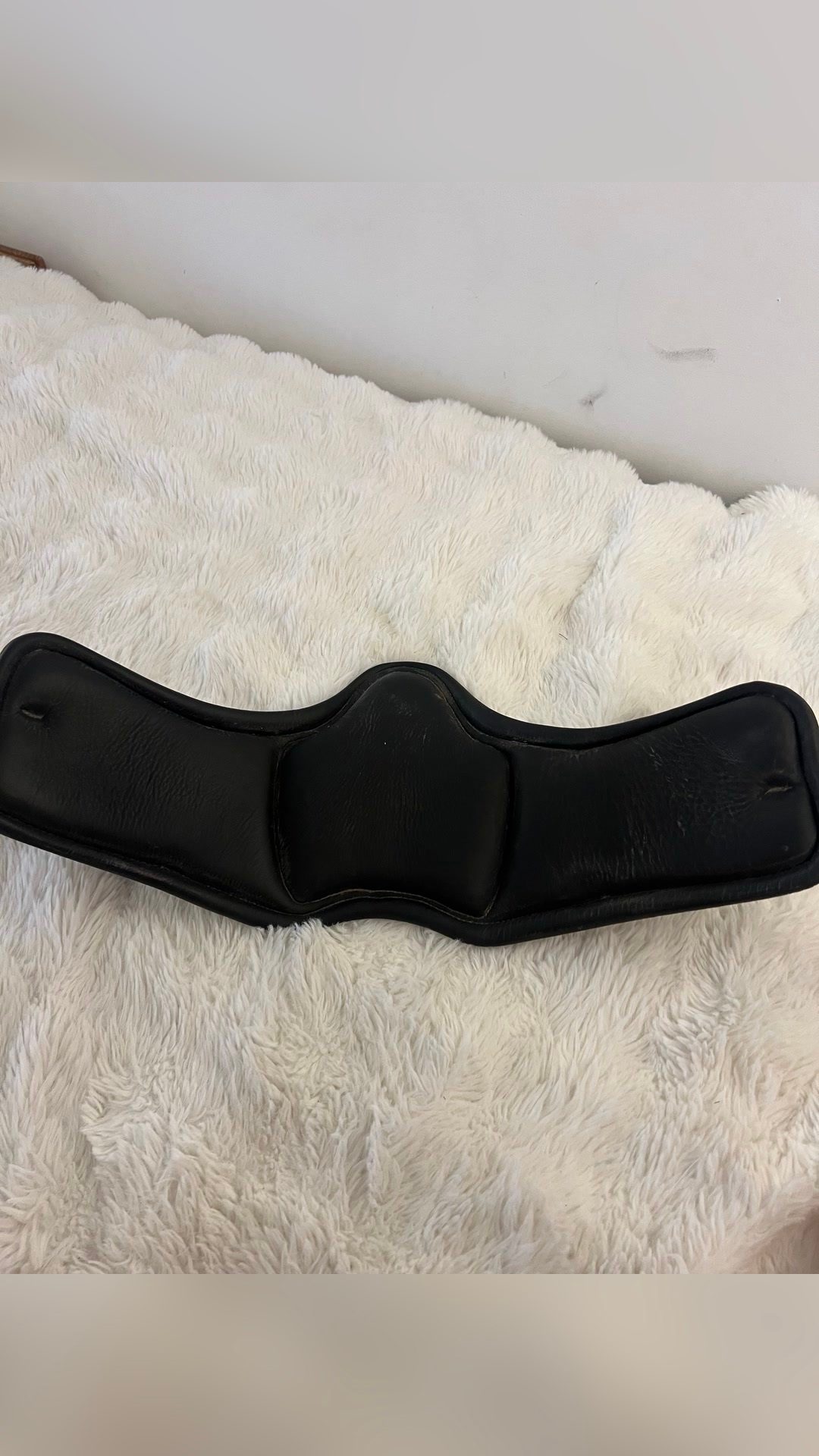 Sangle Antares pour selle de dressage, média 4