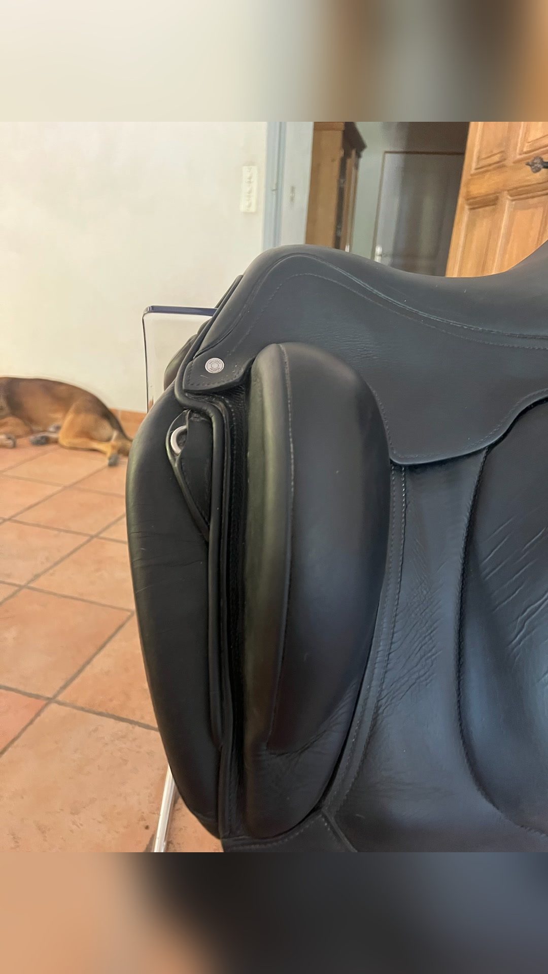 Selle de dressage Antares, média 5
