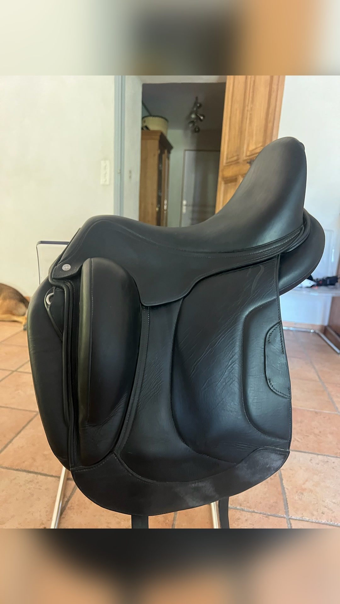 Selle de dressage Antares, média 6