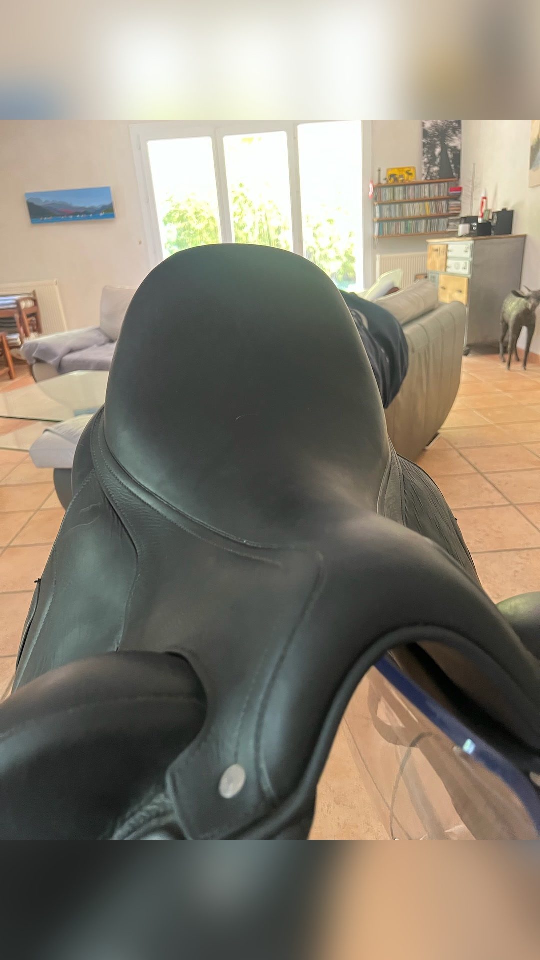 Selle de dressage Antares, média 4