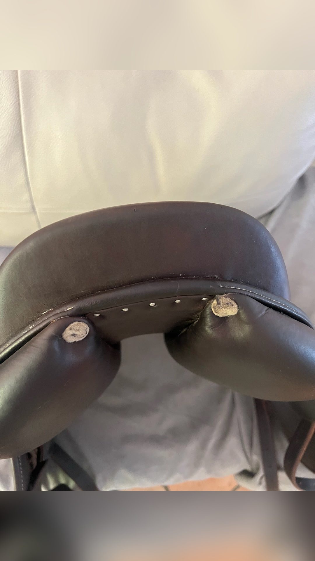 Selle d’obstacles Antares, média 7