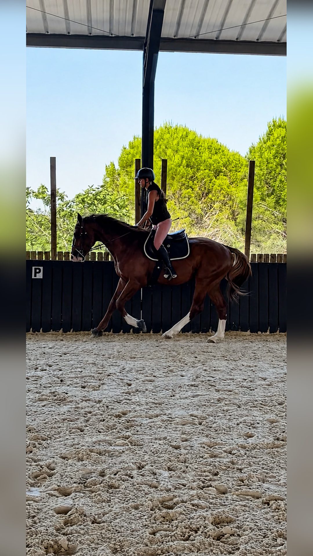 Cavalière jeunes chevaux, média 2