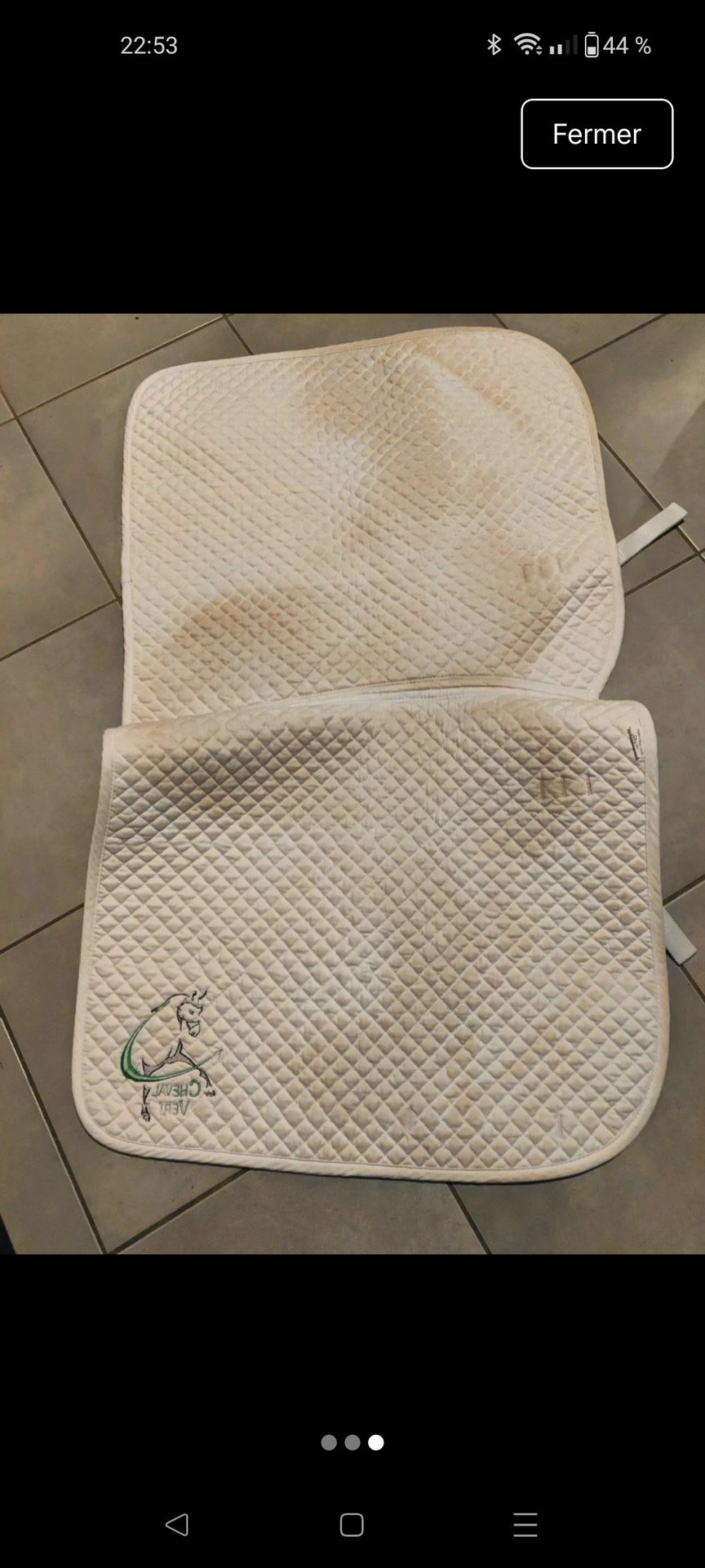 Tapis dressage, média 3