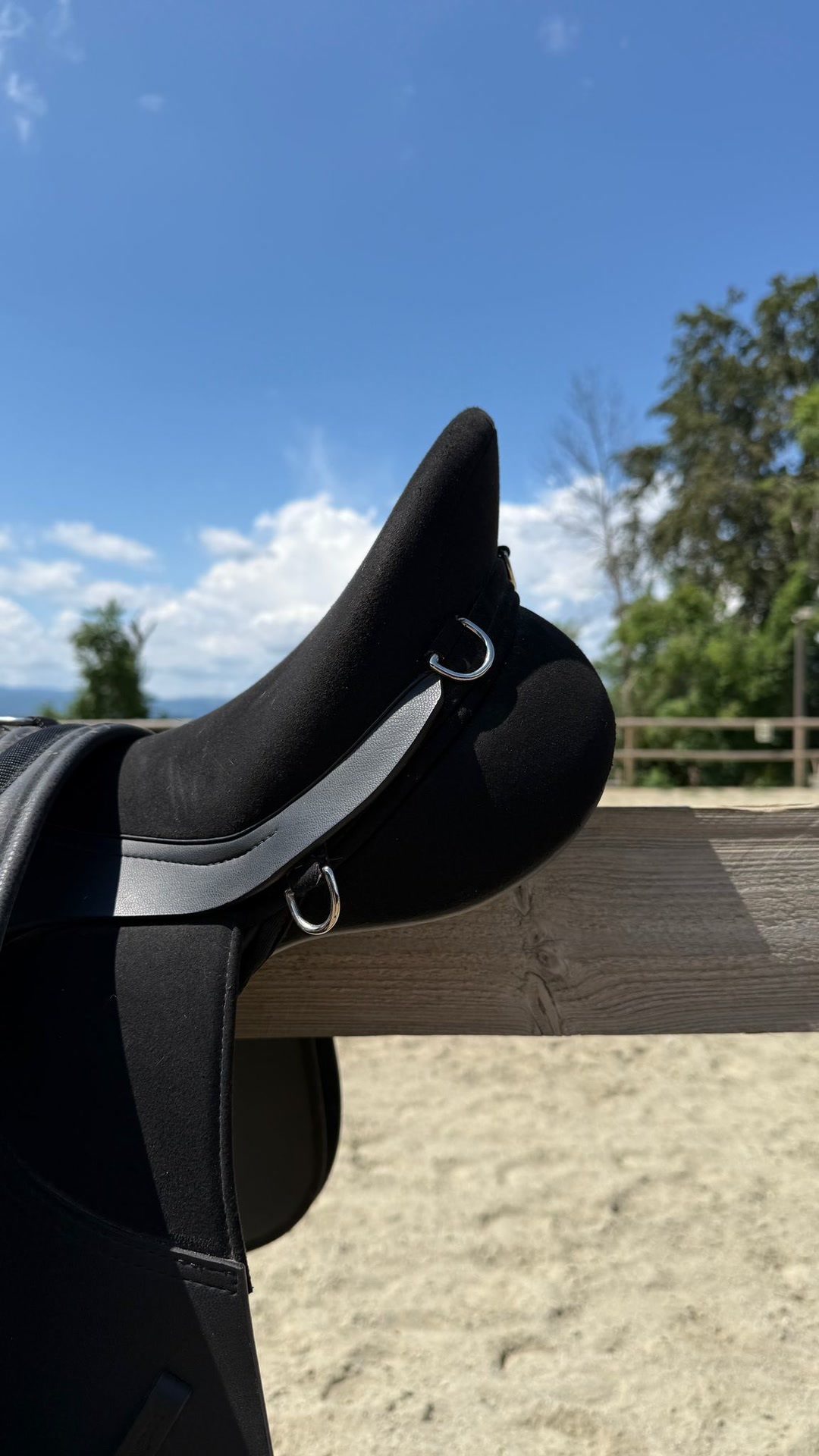 Selle Kent and Master, média 2