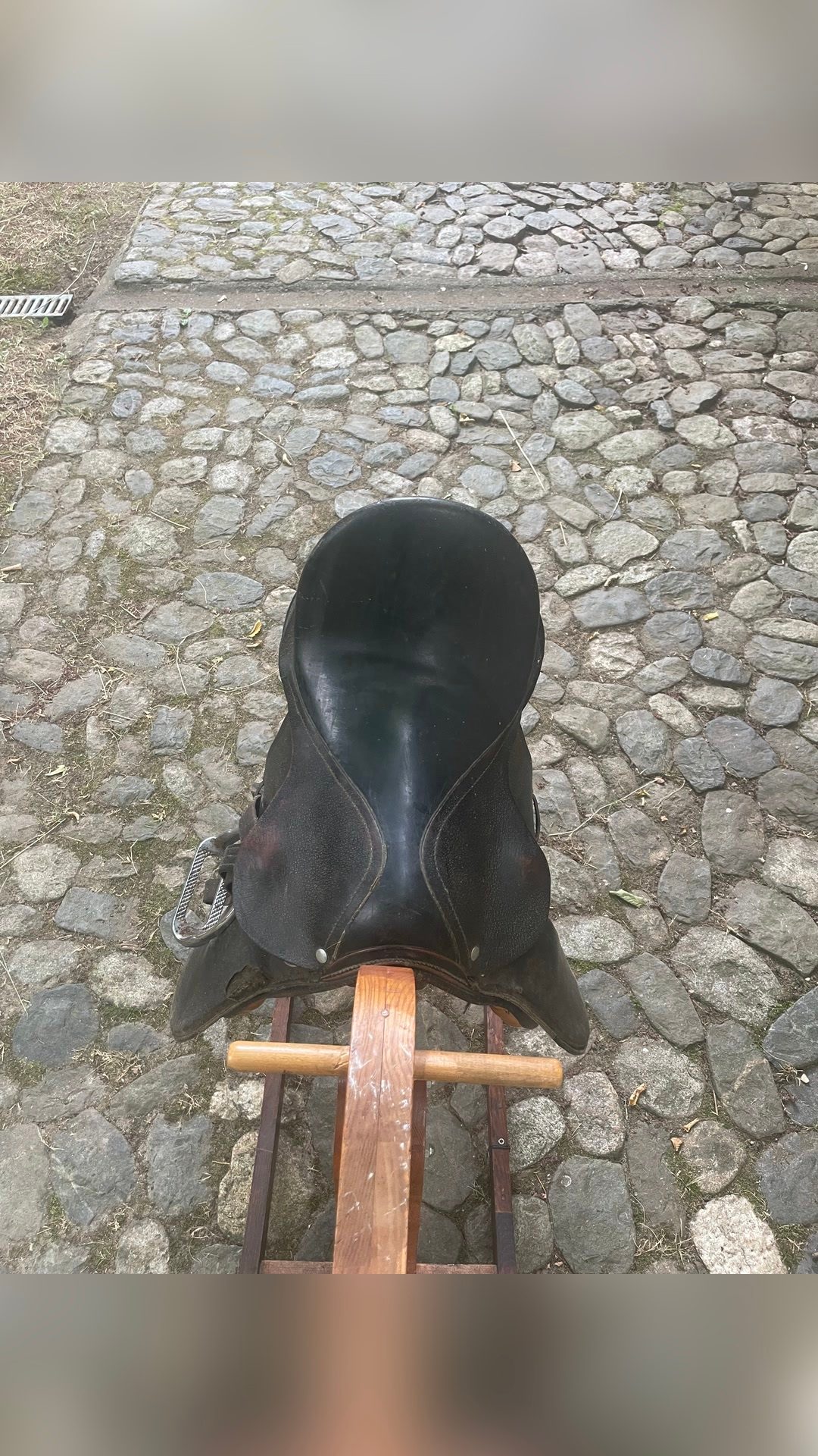 Selle poney, média 3