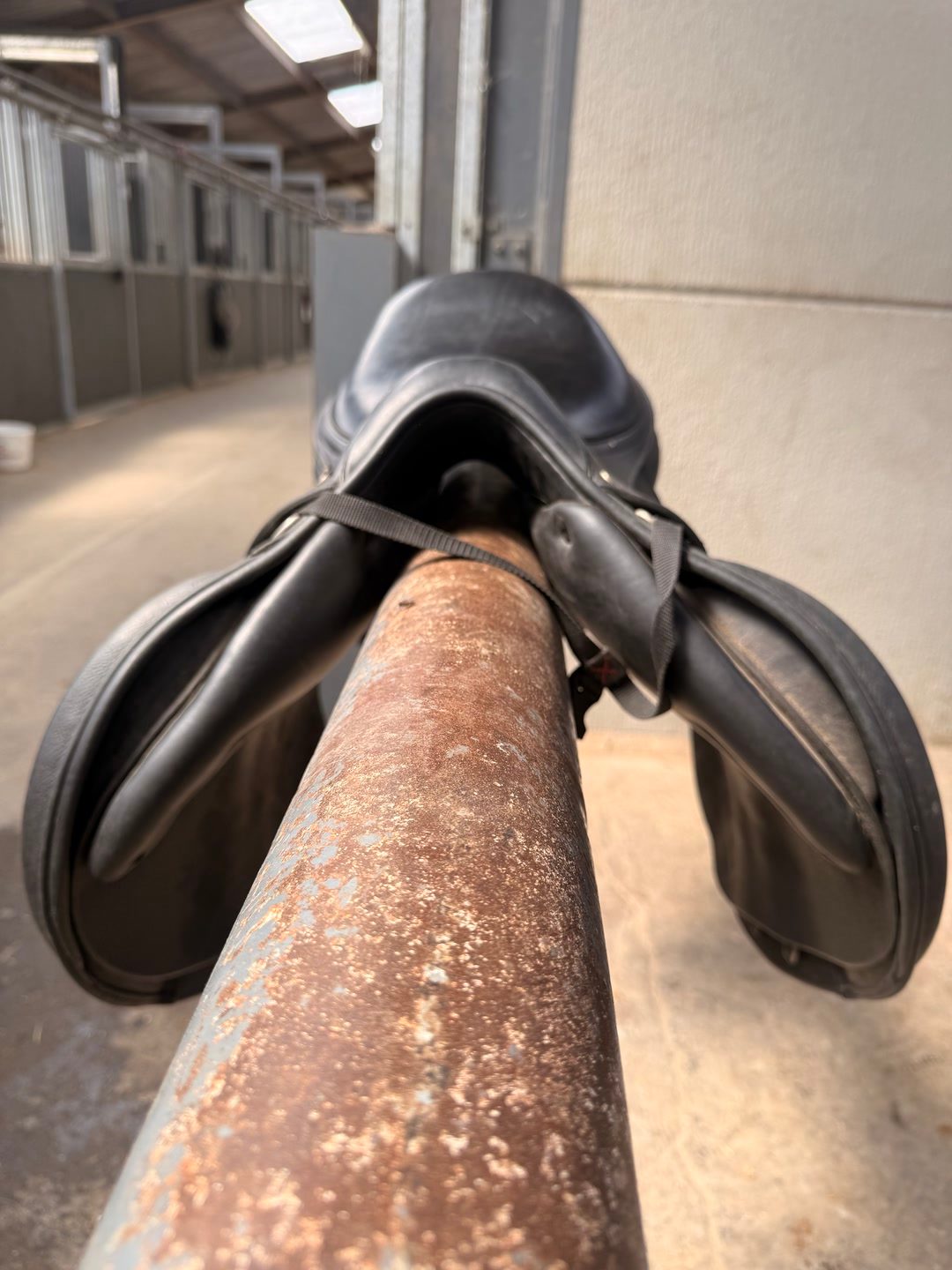 Selle antares mixte, média 2