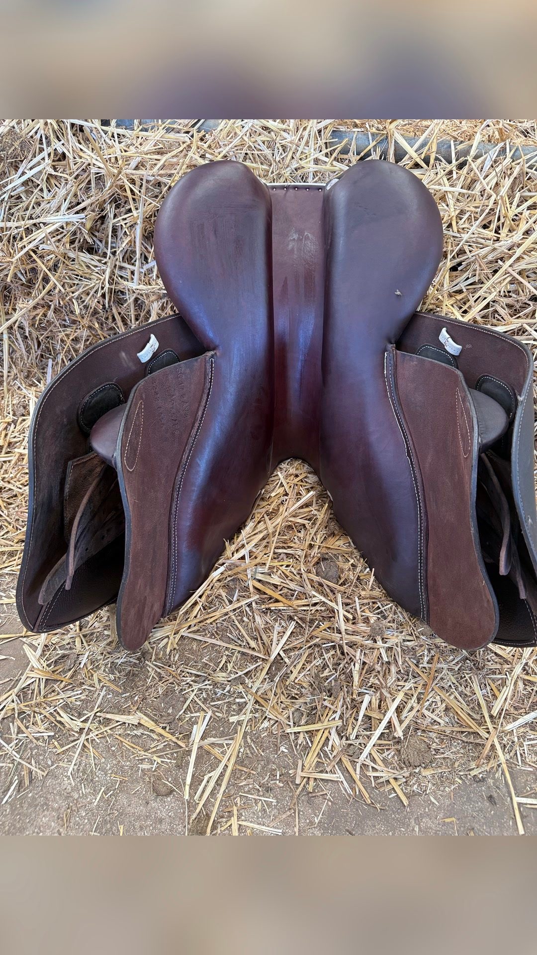 Selle GBS, média 6