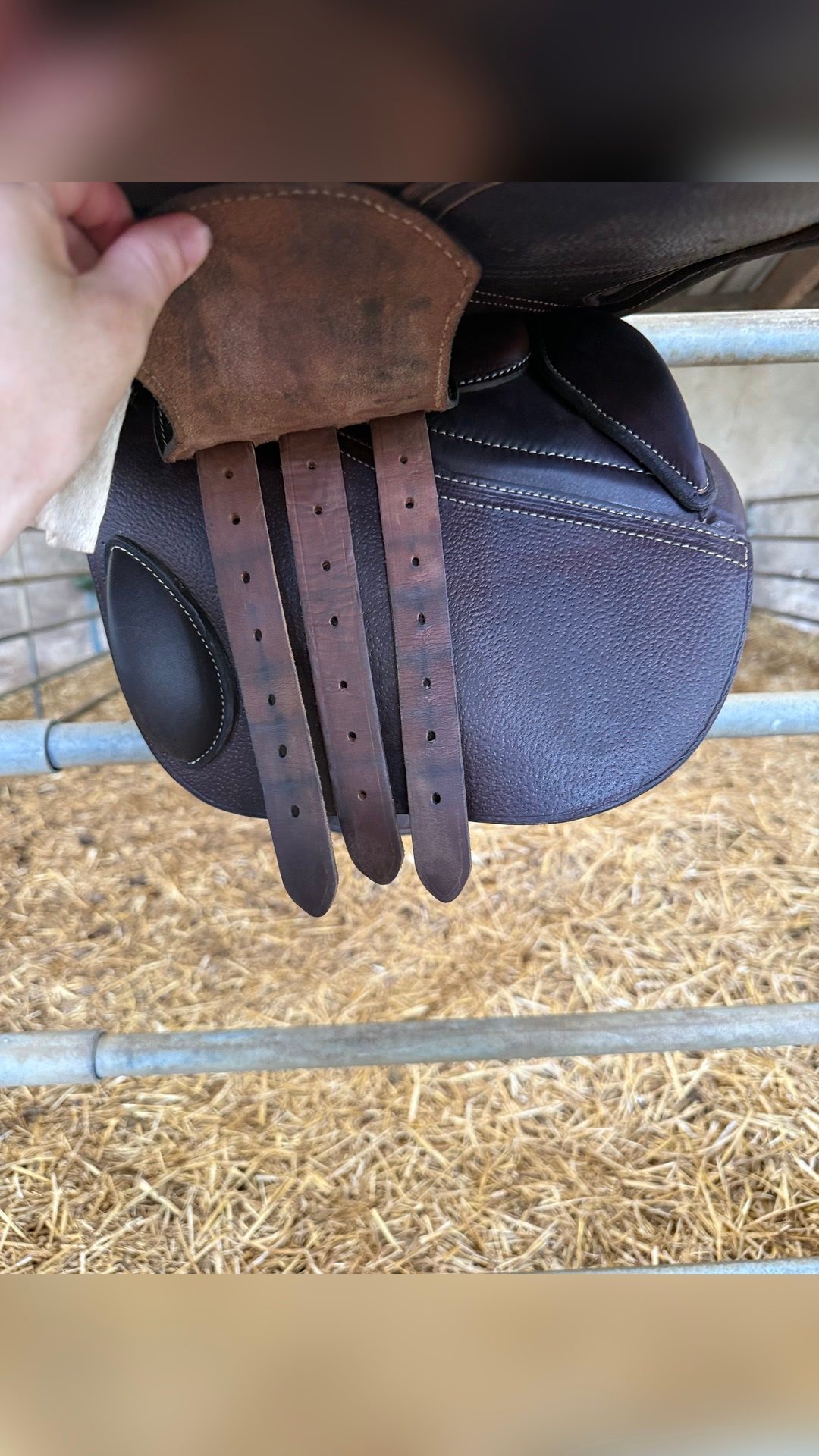 Selle GBS, média 3