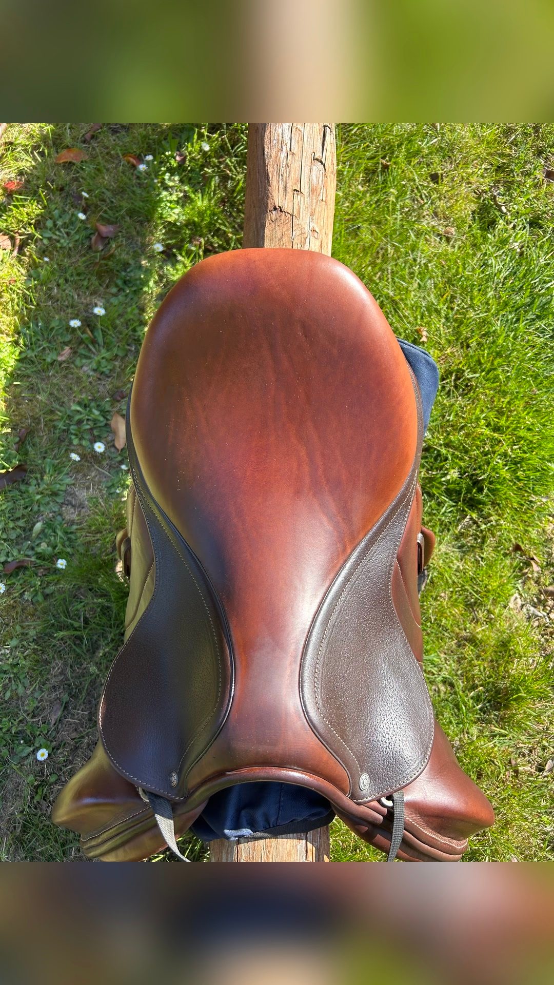 Selle Antares altaïr, média 4
