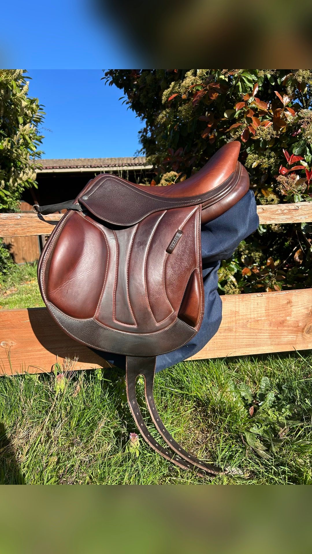 Selle Antares altaïr, média 3