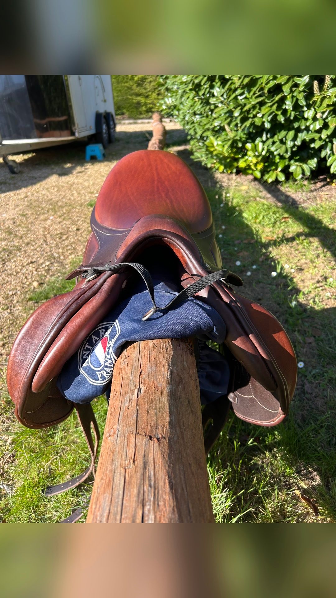 Selle Antares altaïr, média 7