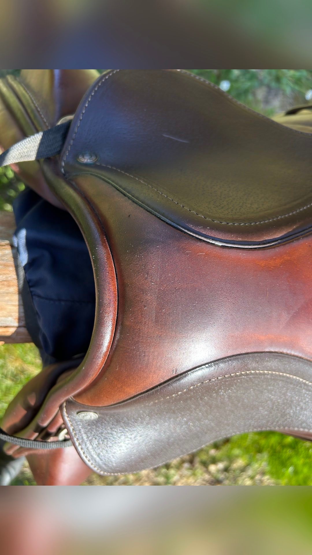 Selle Antares altaïr, média 5